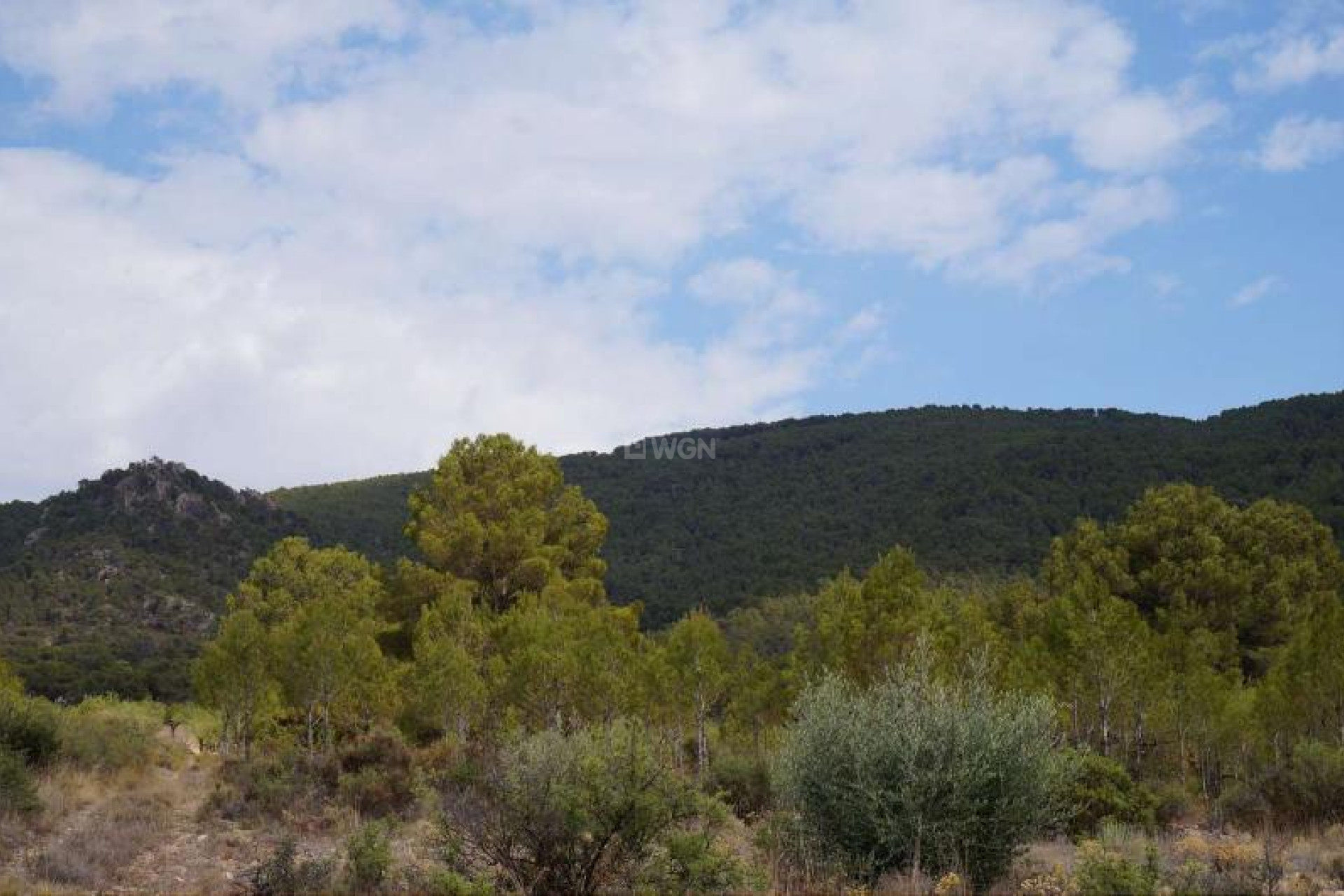 Resale - Plot / Land - Yecla - Inland