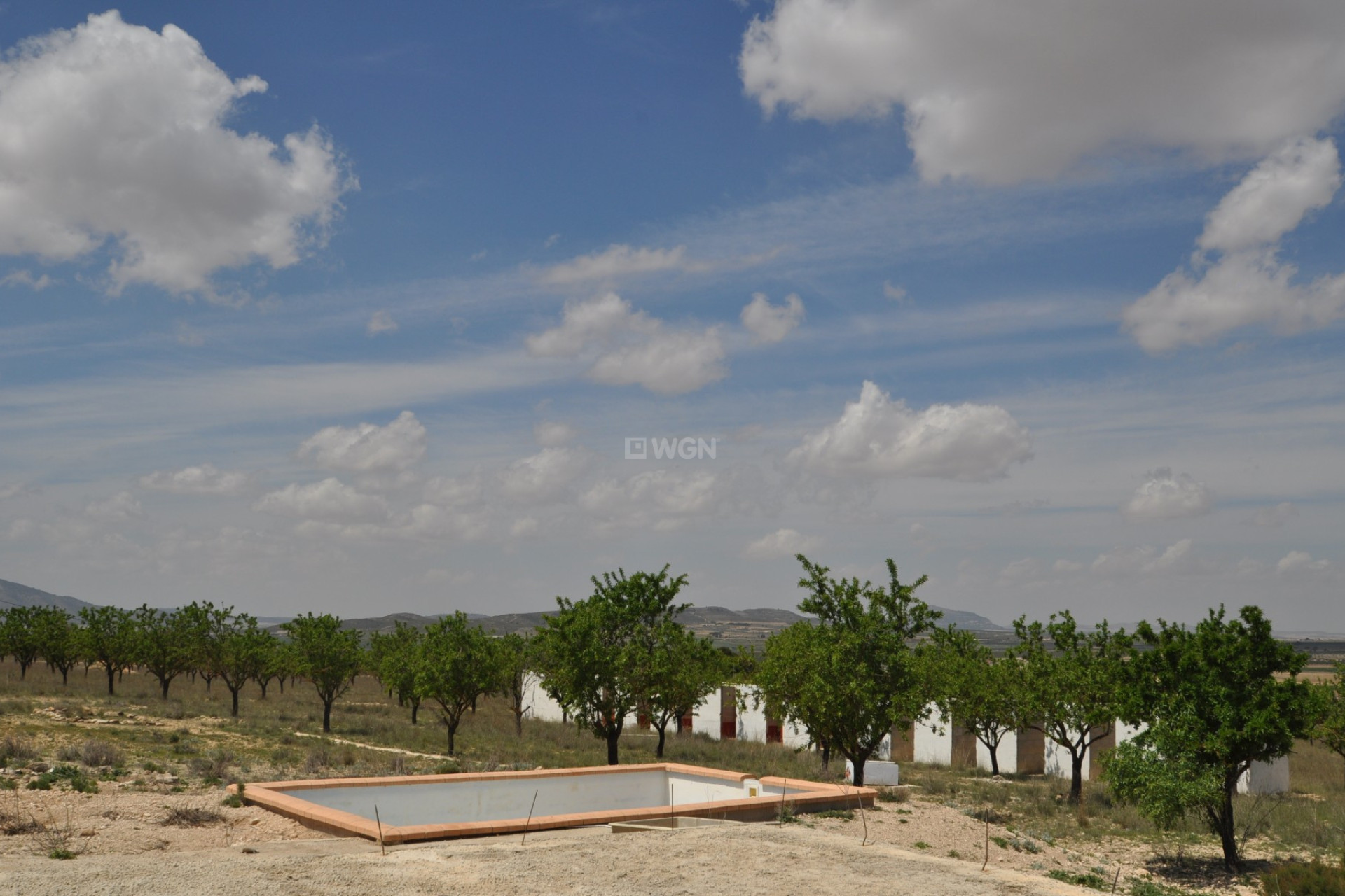 Resale - Plot / Land - Yecla - Inland