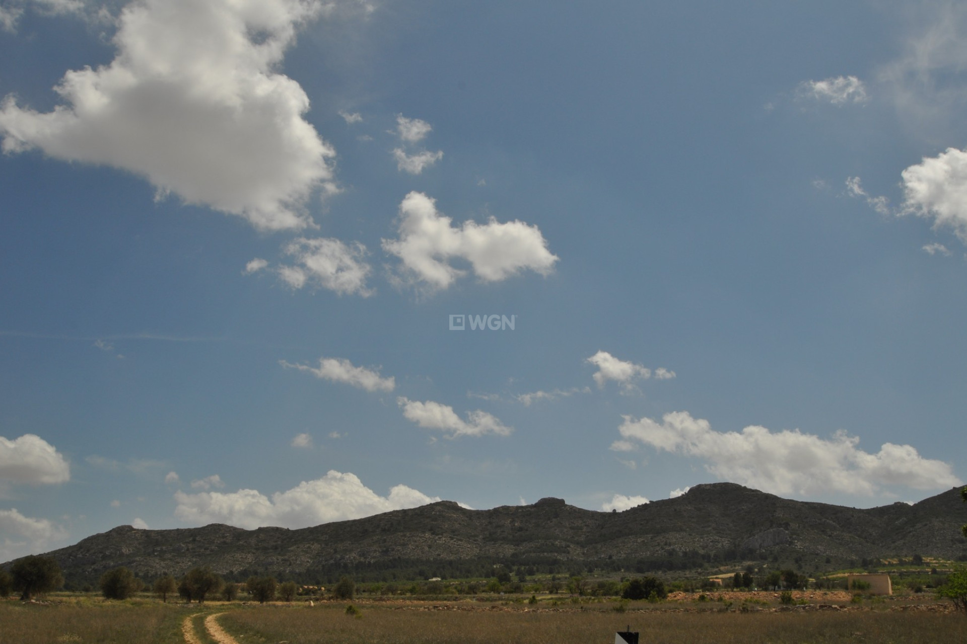 Resale - Plot / Land - Yecla - Inland