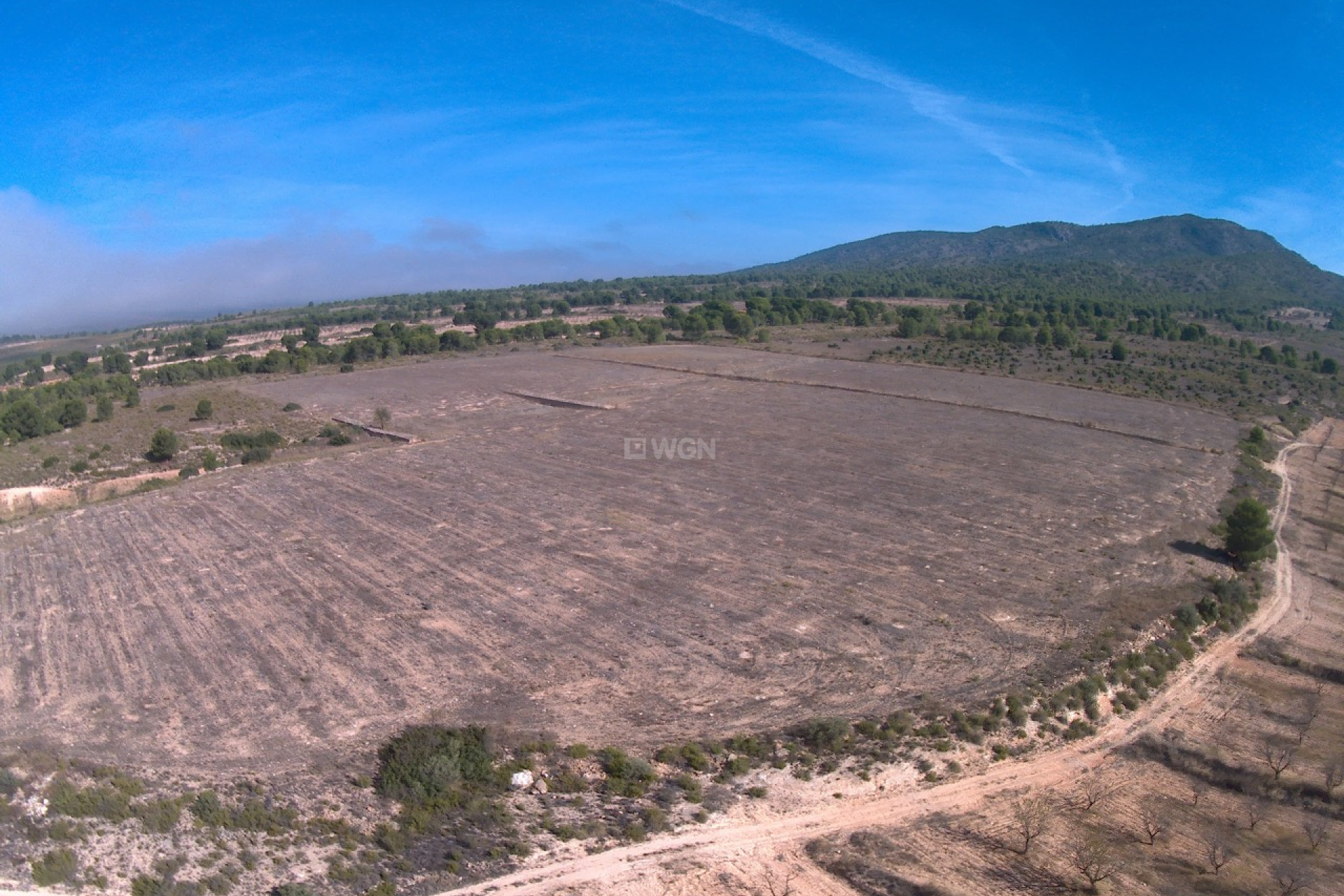 Resale - Plot / Land - Yecla - Inland