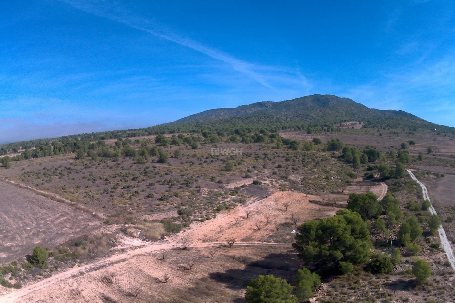 Resale - Plot / Land - Yecla - Inland
