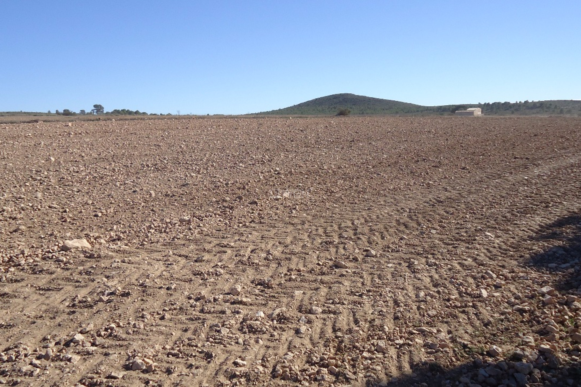 Resale - Plot / Land - Yecla - Inland