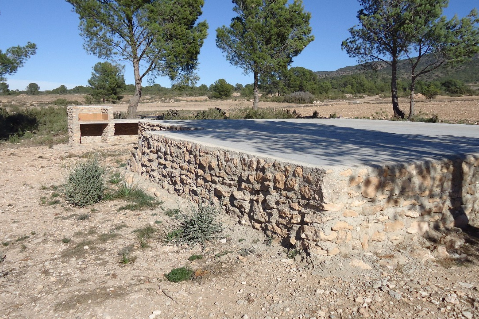 Resale - Plot / Land - Yecla - Inland