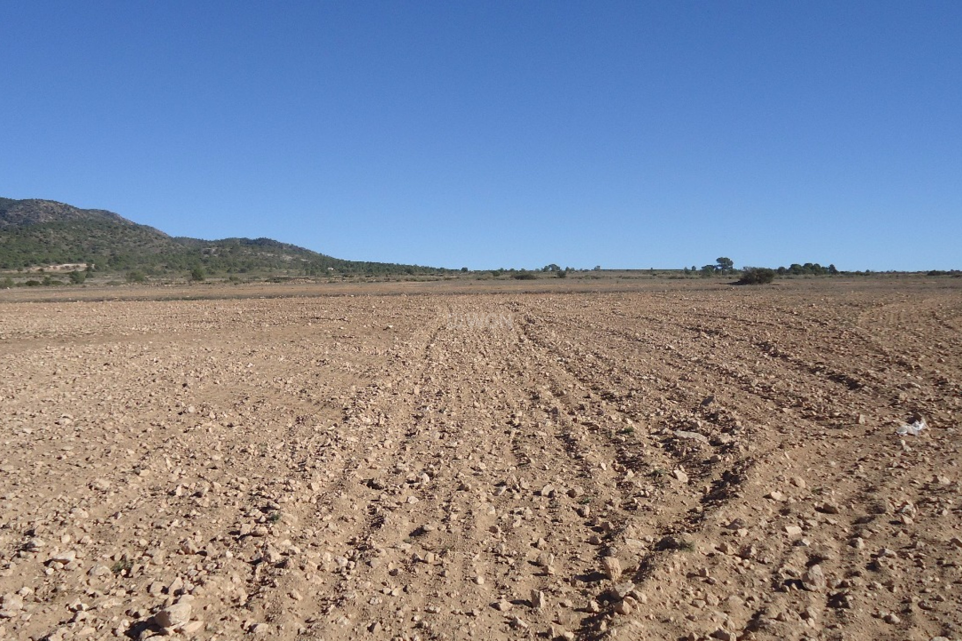 Resale - Plot / Land - Yecla - Inland