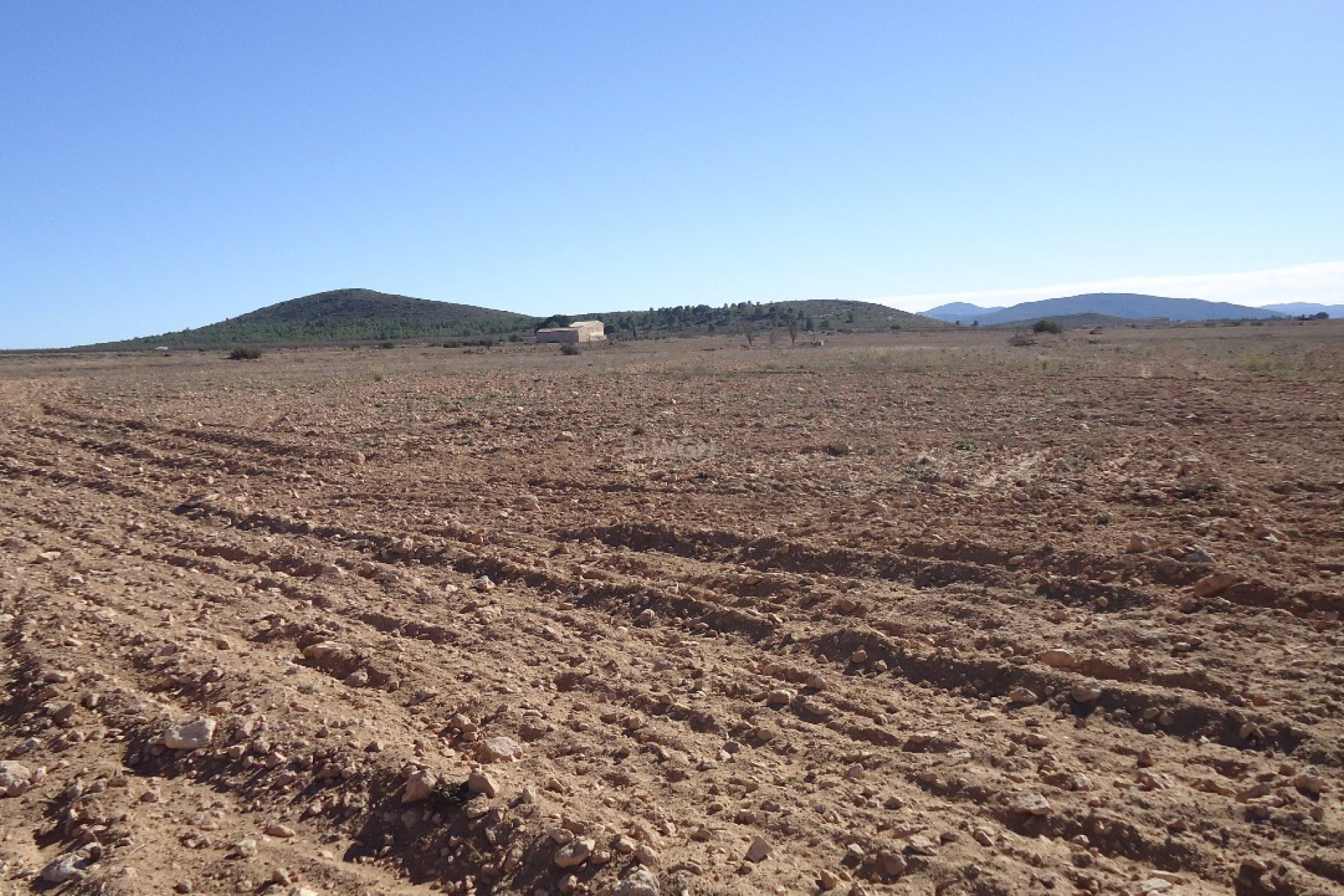 Resale - Plot / Land - Yecla - Inland