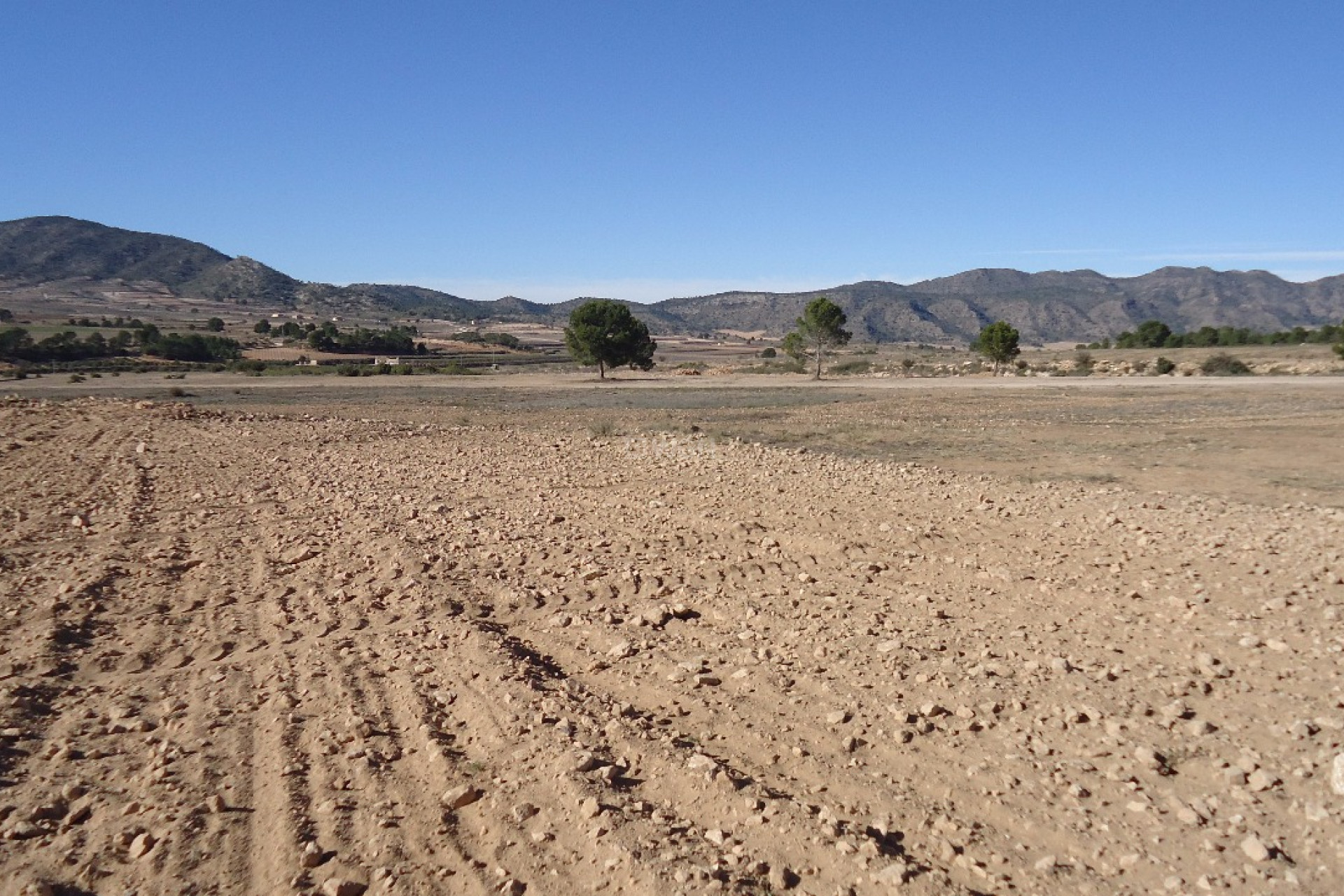 Resale - Plot / Land - Yecla - Inland