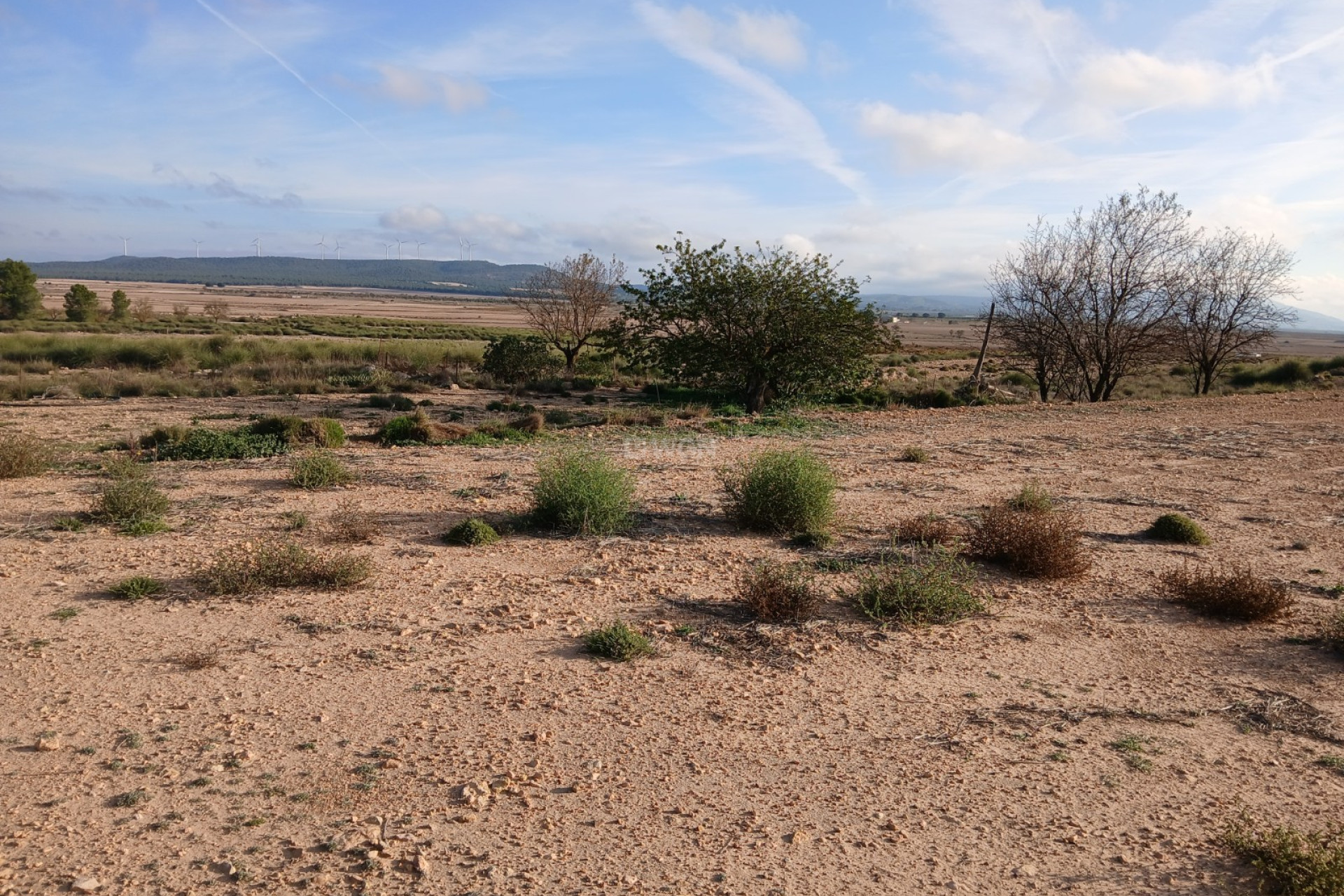 Resale - Plot / Land - Yecla - Inland