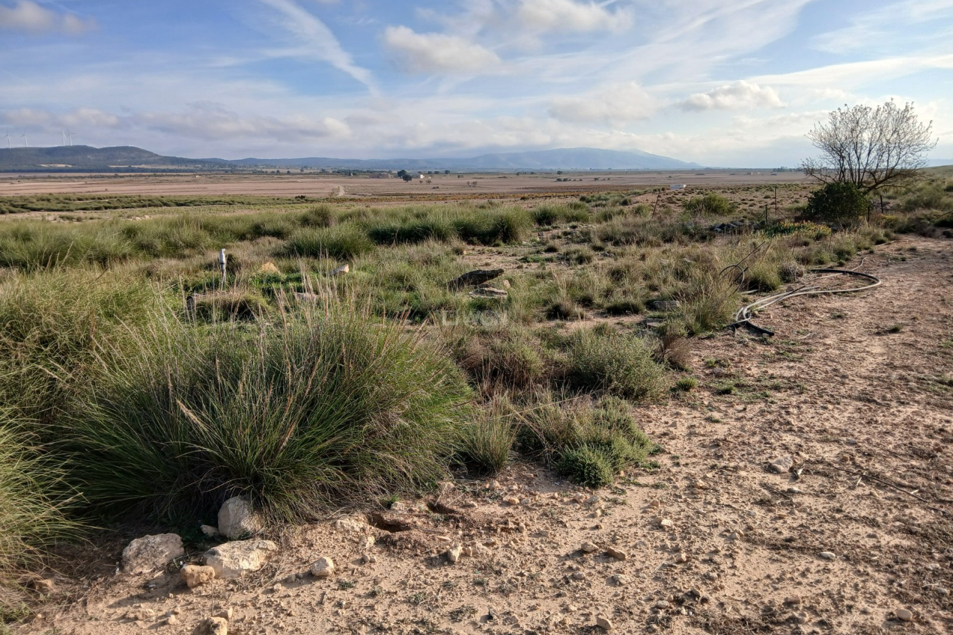 Resale - Plot / Land - Yecla - Inland