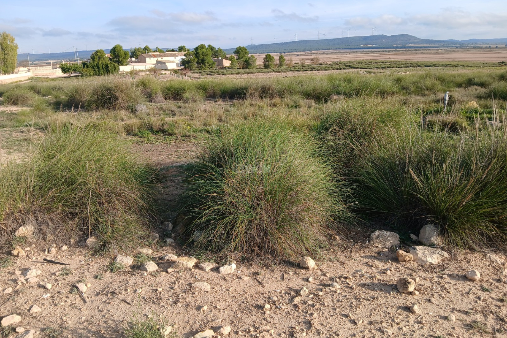 Resale - Plot / Land - Yecla - Inland