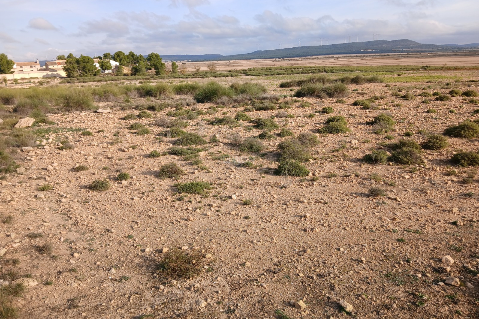 Resale - Plot / Land - Yecla - Inland