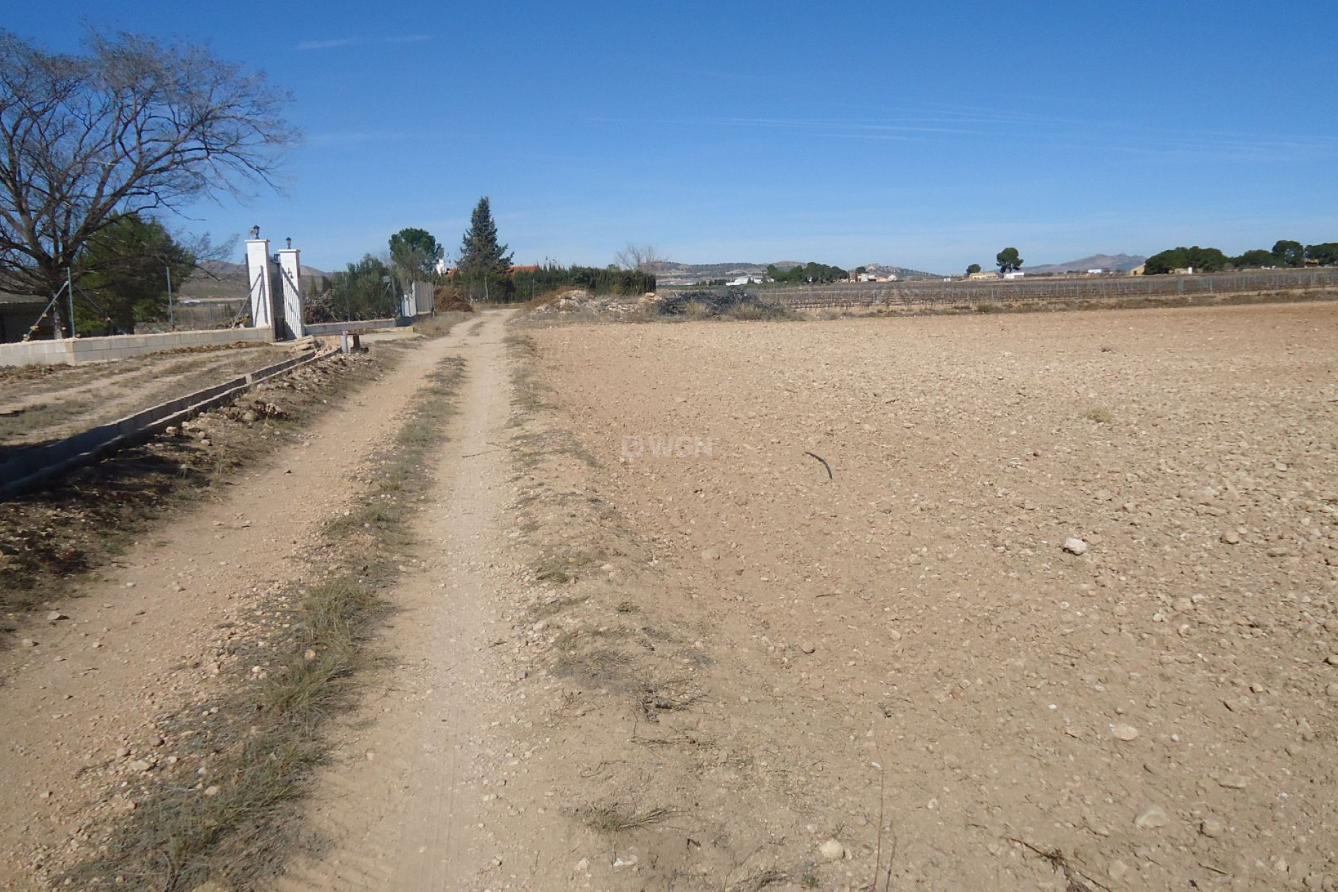 Resale - Plot / Land - Yecla - Inland