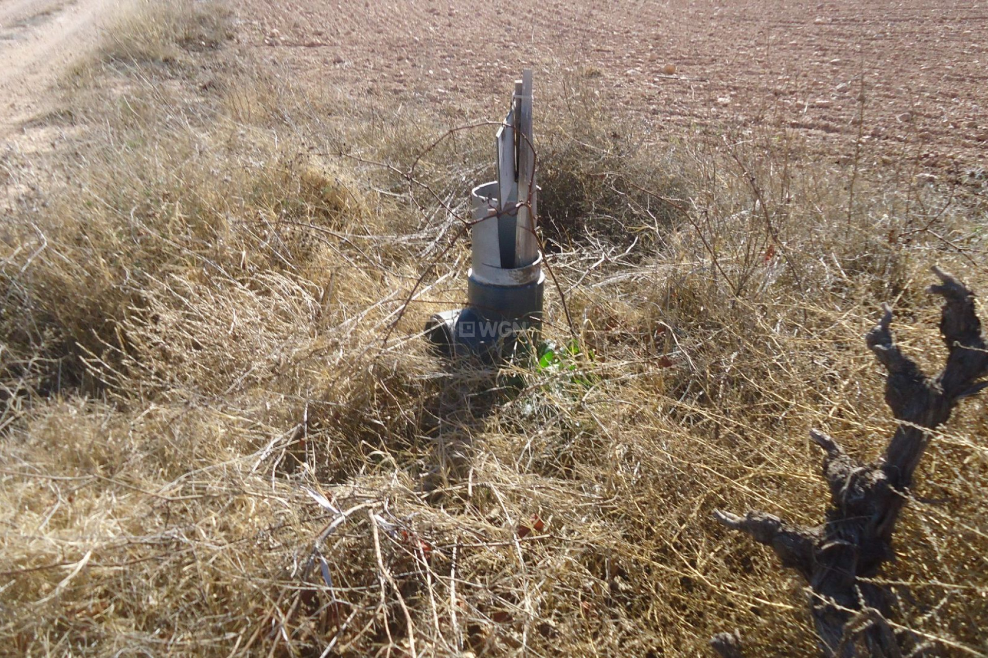 Resale - Plot / Land - Yecla - Inland