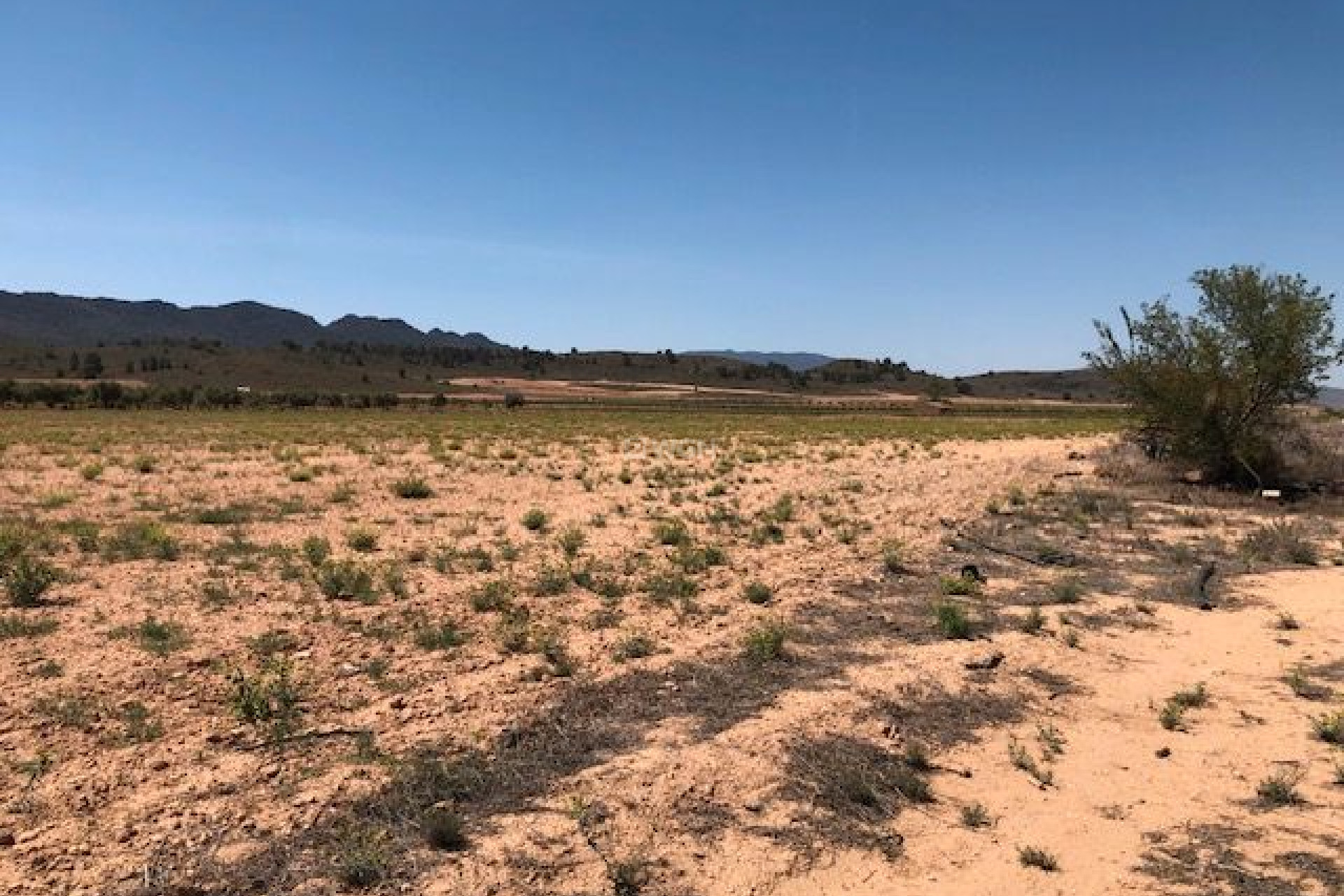 Resale - Plot / Land - Yecla - Inland