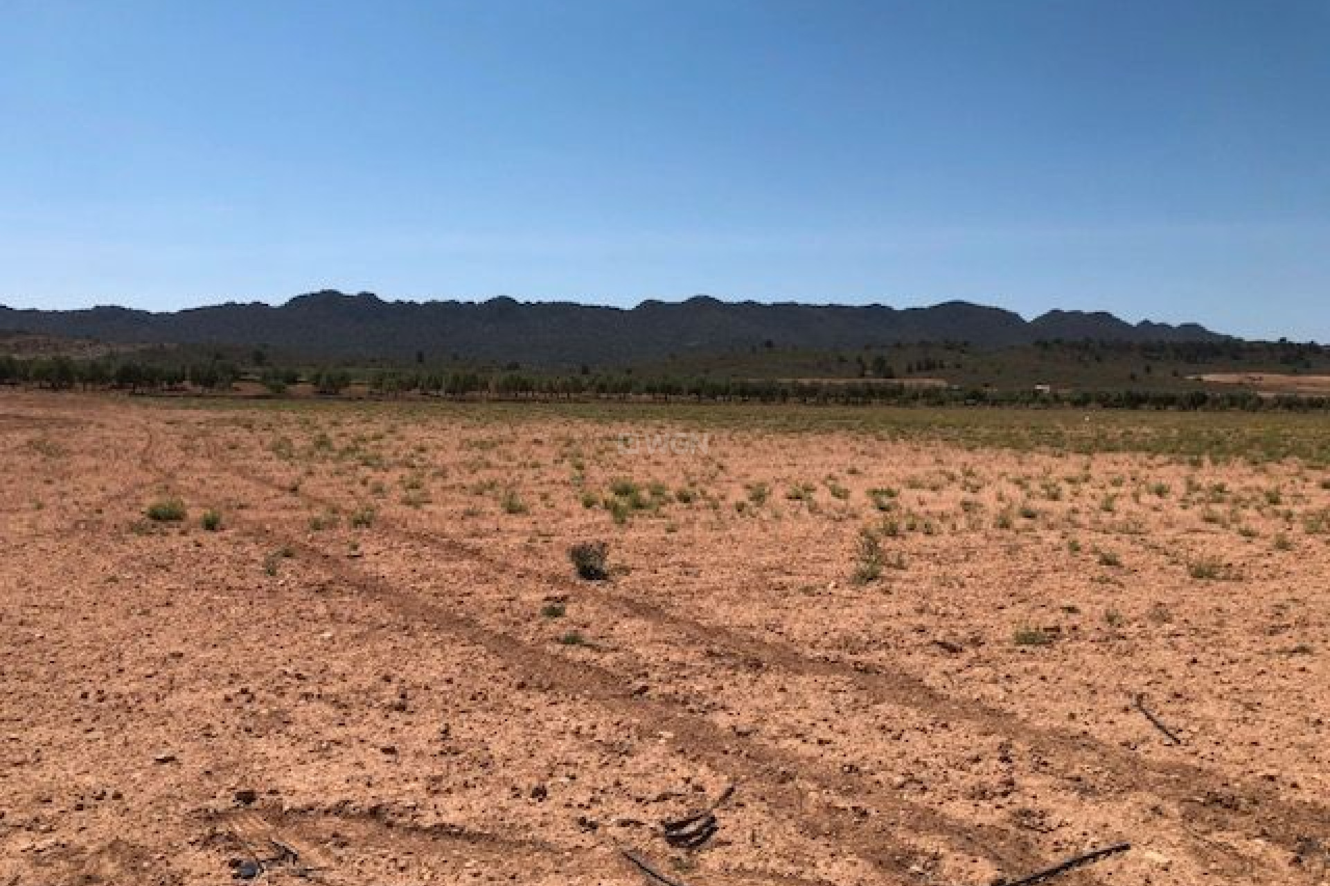 Resale - Plot / Land - Yecla - Inland