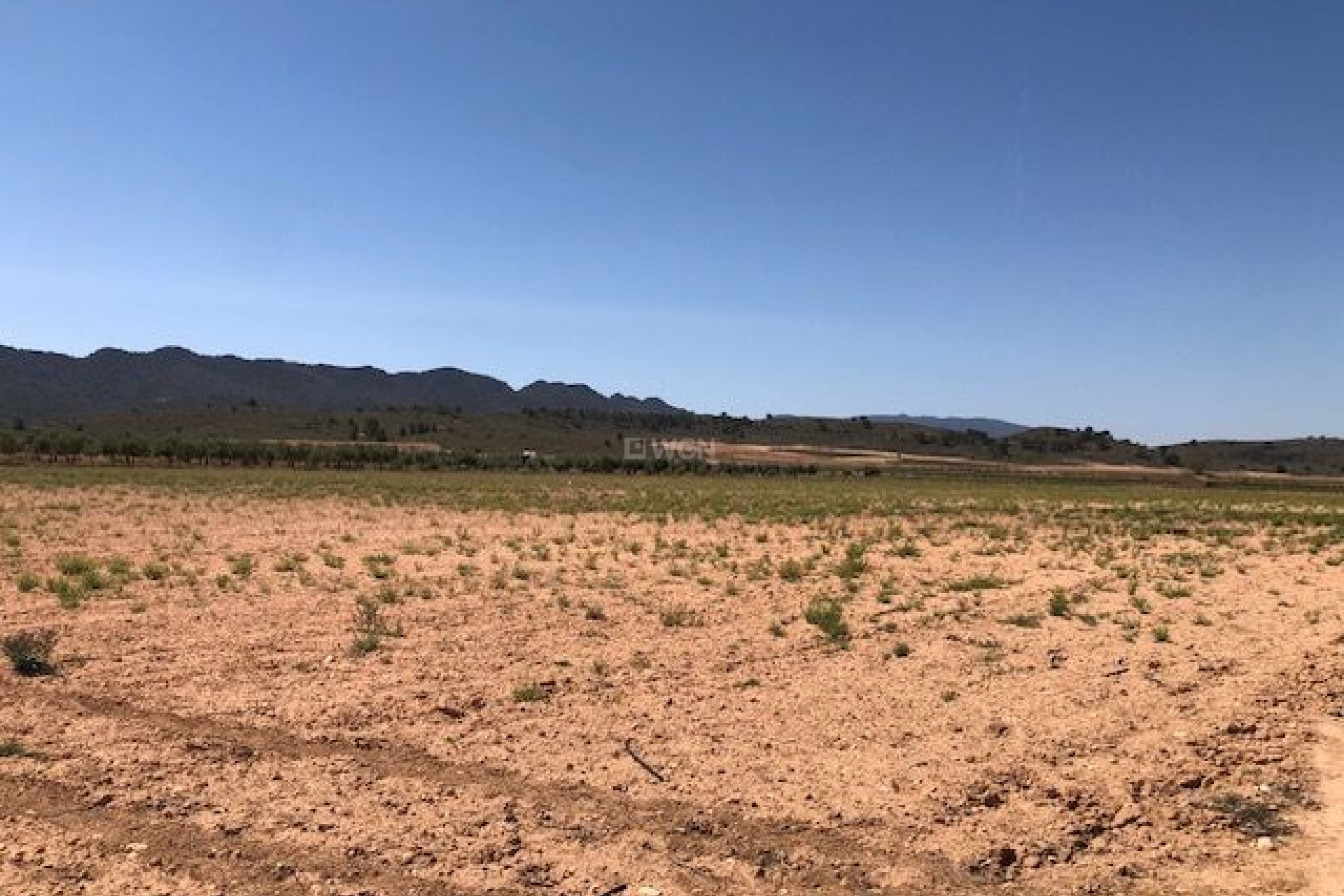 Resale - Plot / Land - Yecla - Inland