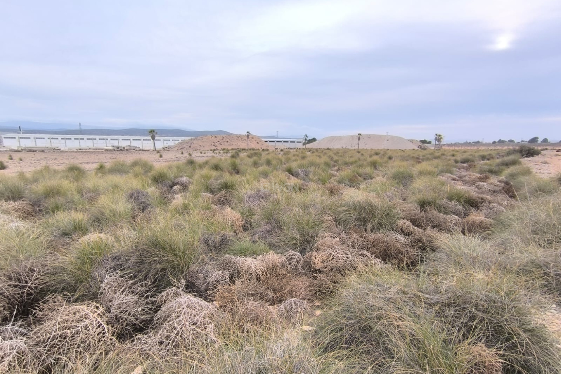 Resale - Plot / Land - Yecla - Inland