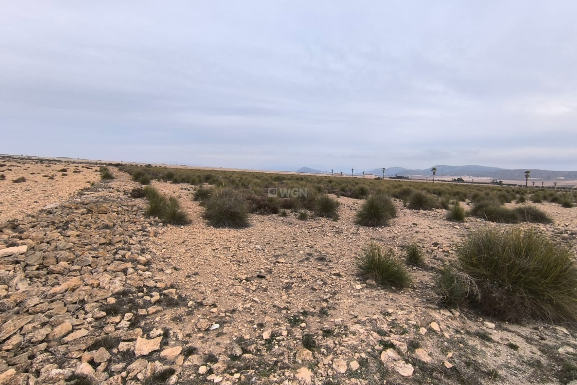 Resale - Plot / Land - Yecla - Inland