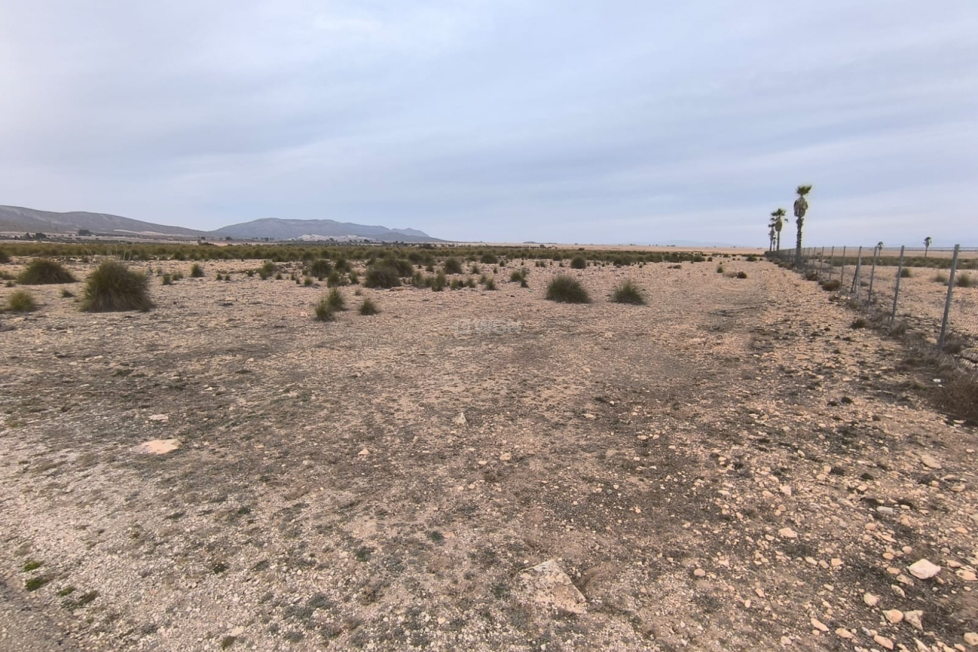 Resale - Plot / Land - Yecla - Inland
