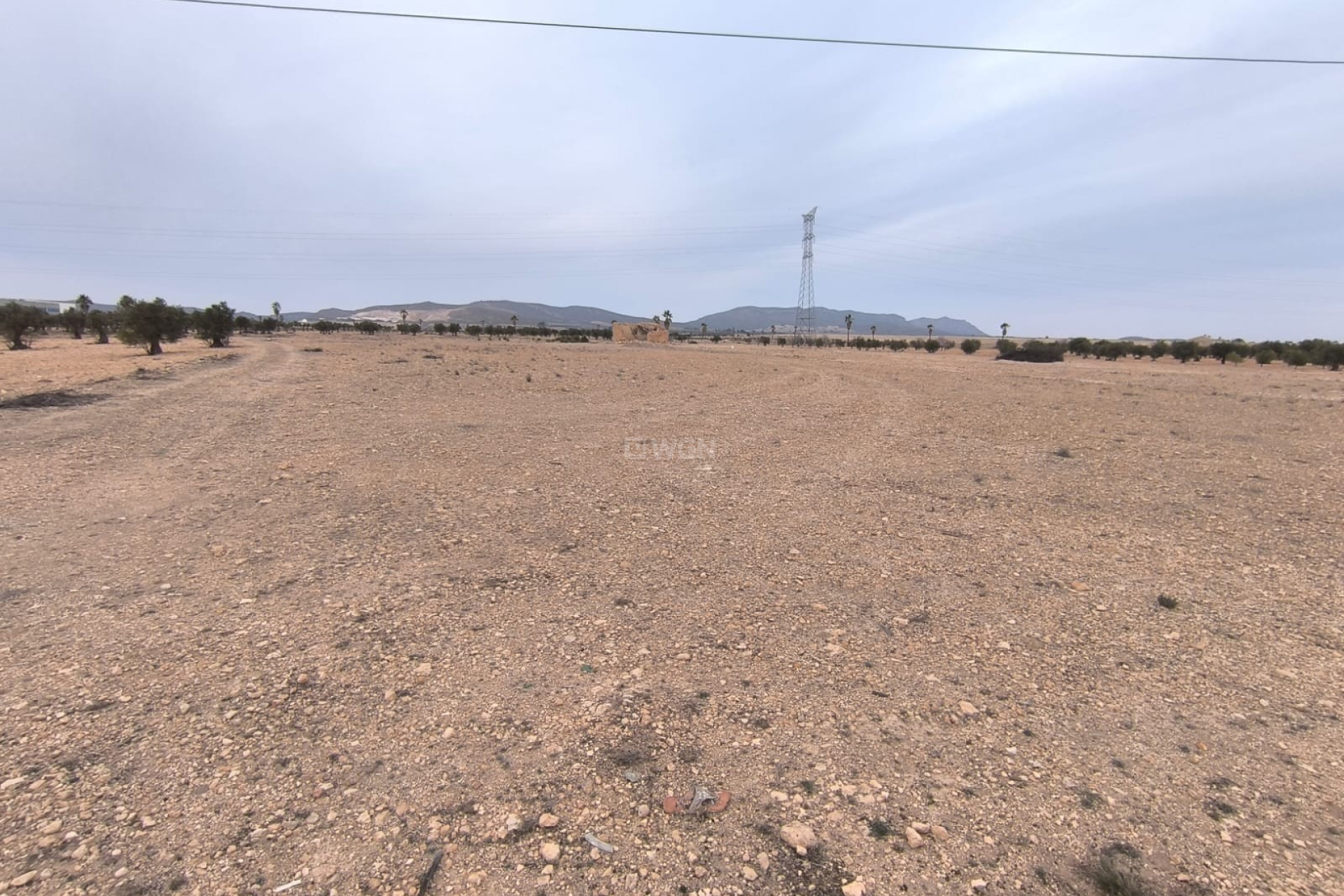 Resale - Plot / Land - Yecla - Inland