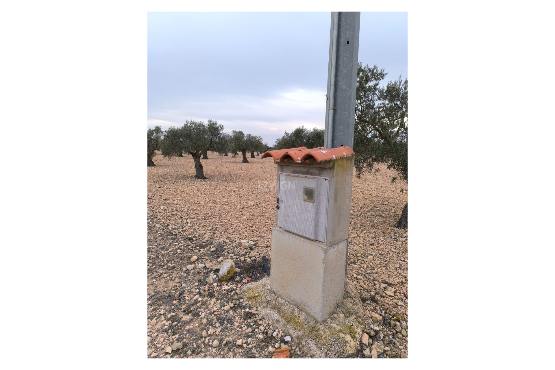 Resale - Plot / Land - Yecla - Inland