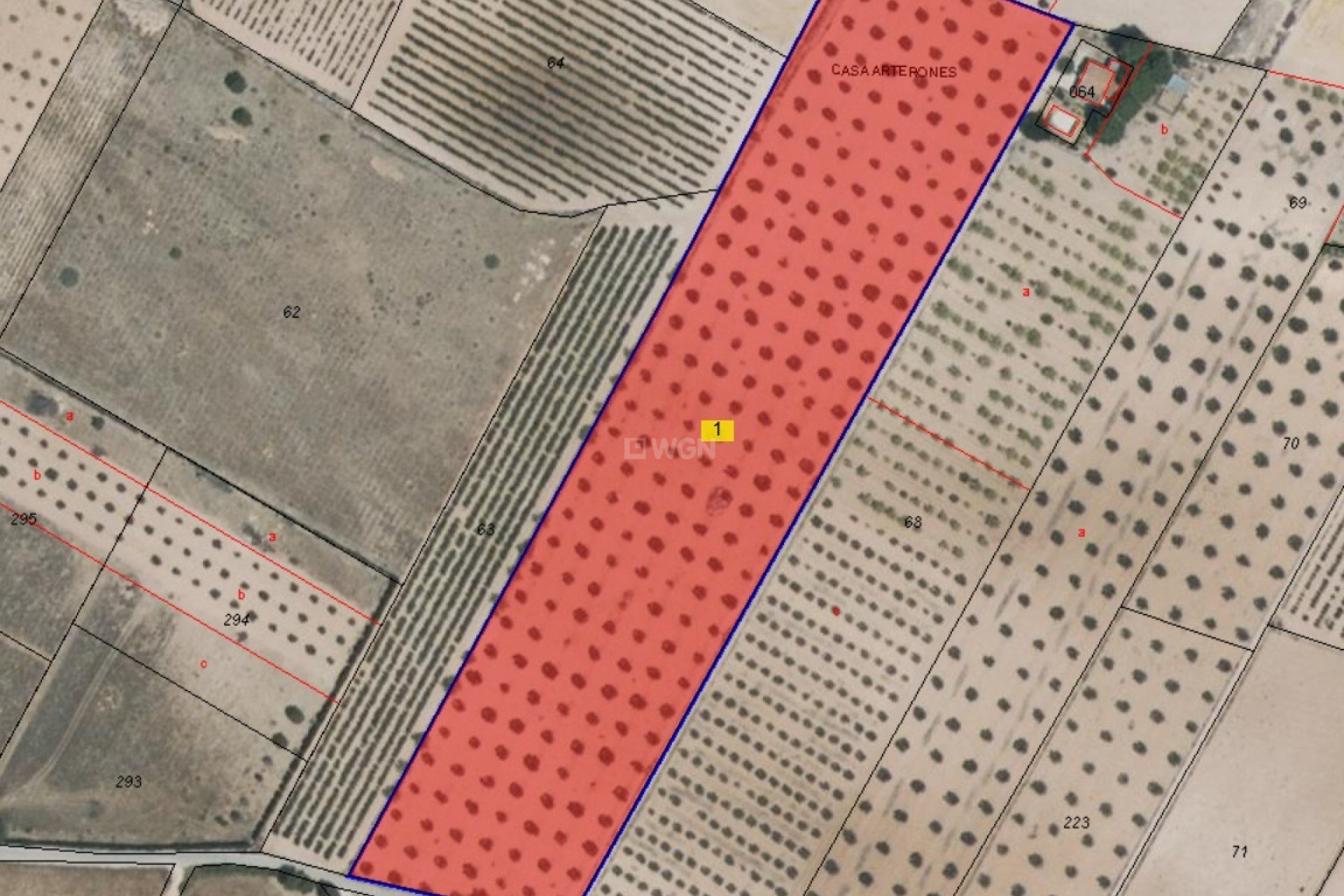 Resale - Plot / Land - Yecla - Inland