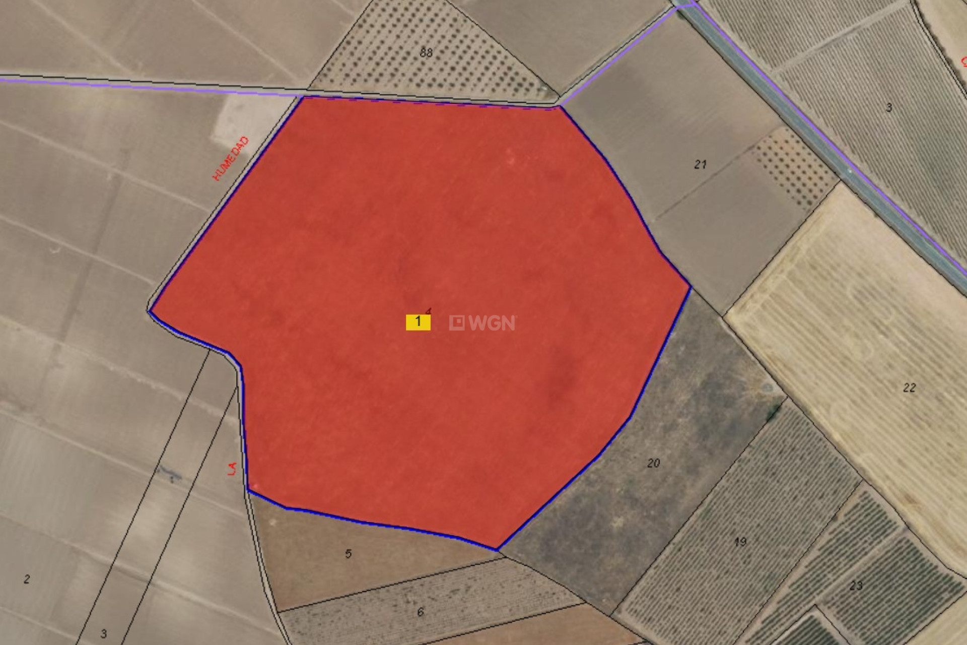 Resale - Plot / Land - Yecla - Inland