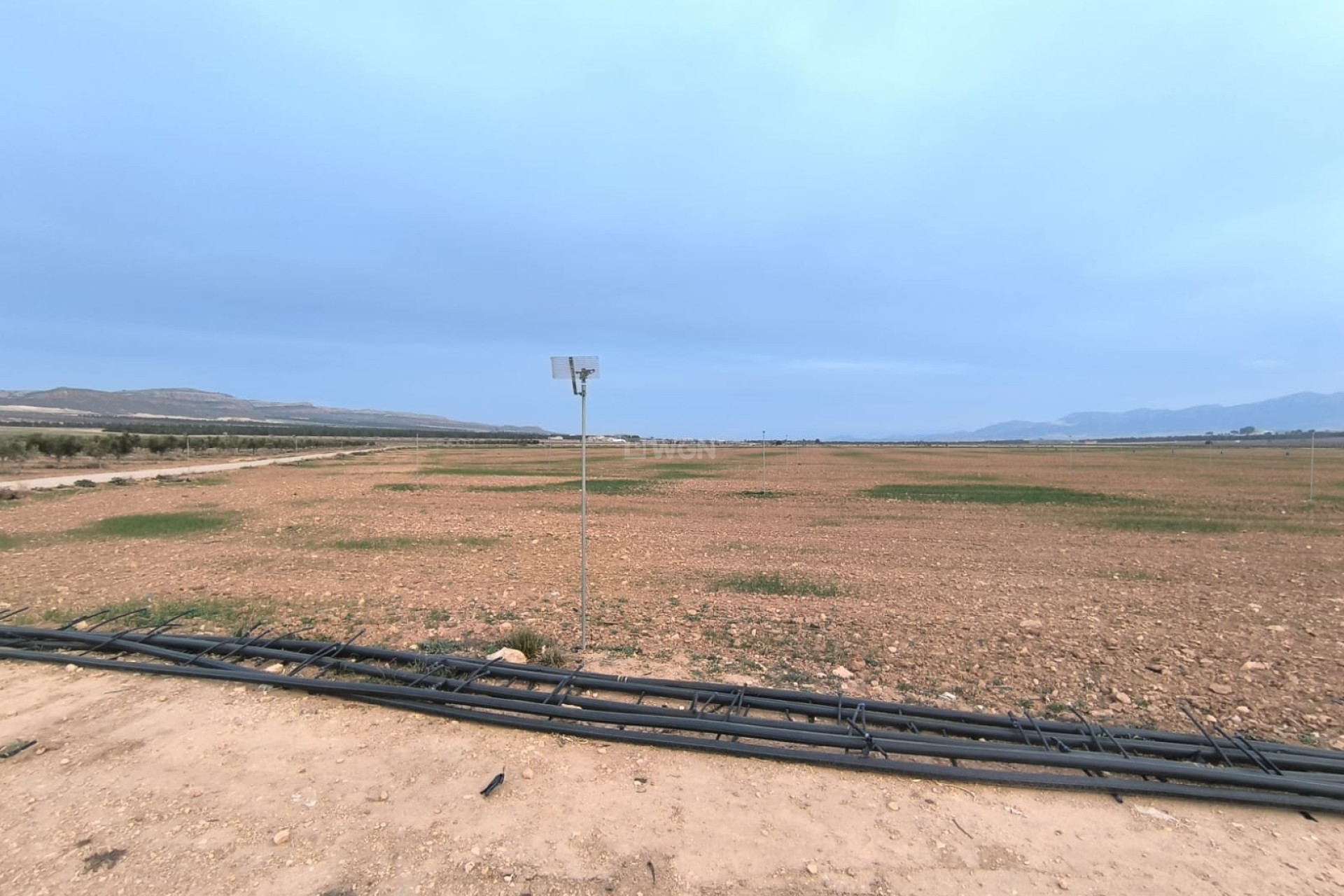 Resale - Plot / Land - Yecla - Inland