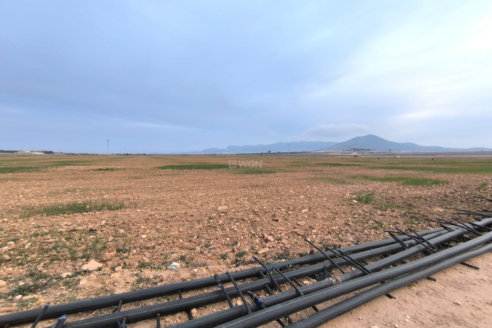 Resale - Plot / Land - Yecla - Inland