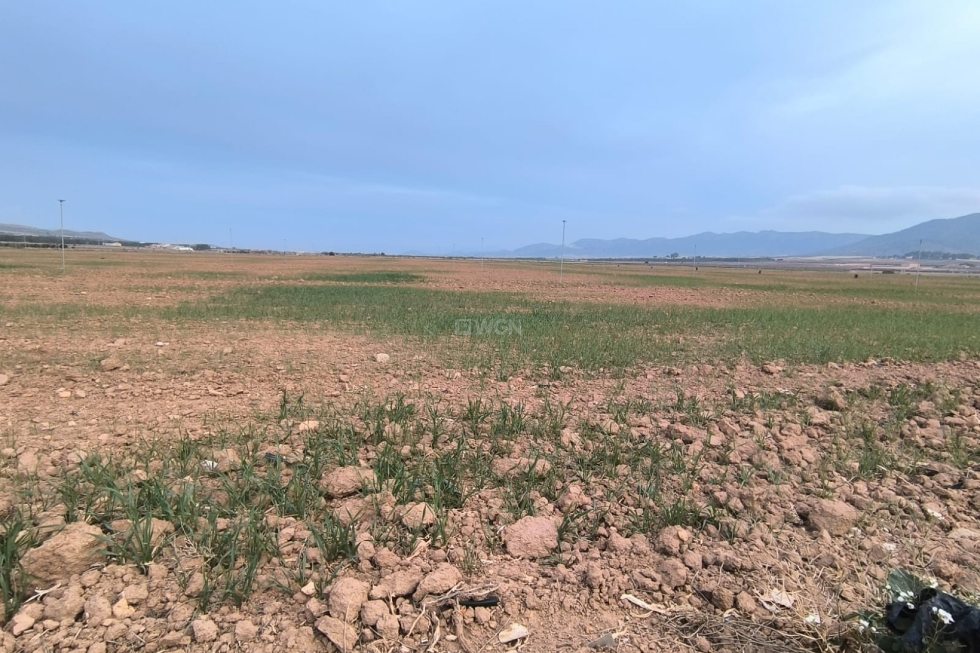 Resale - Plot / Land - Yecla - Inland