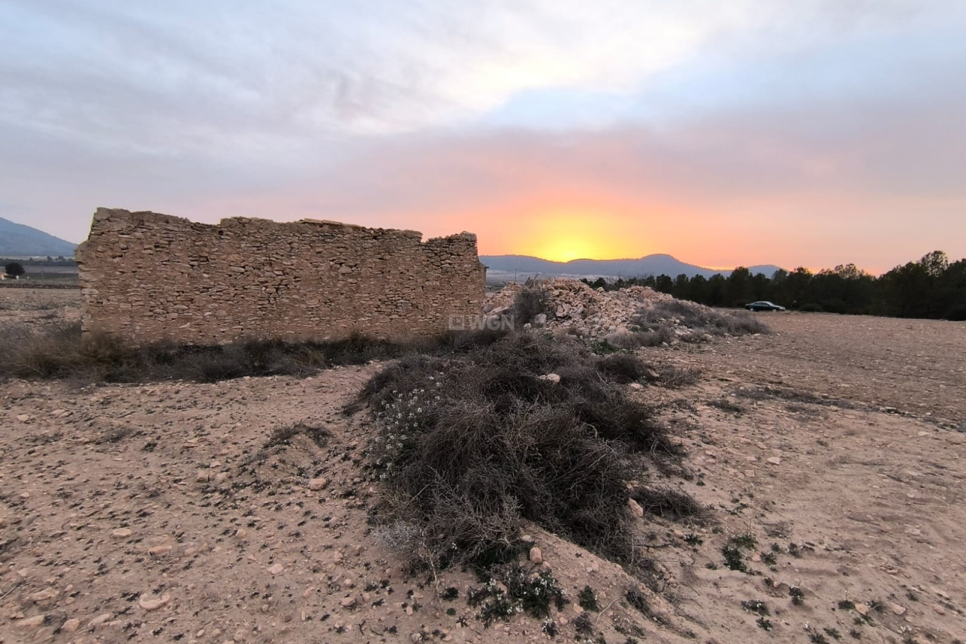 Resale - Plot / Land - Yecla - Inland