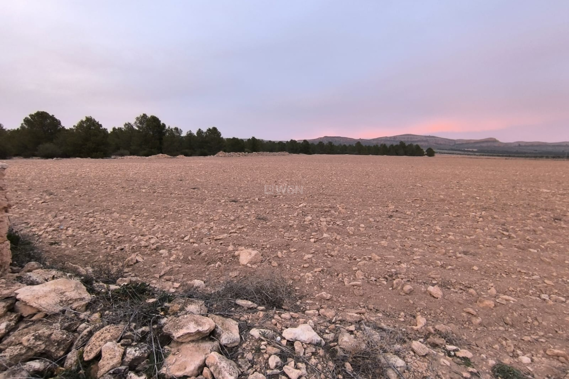 Resale - Plot / Land - Yecla - Inland