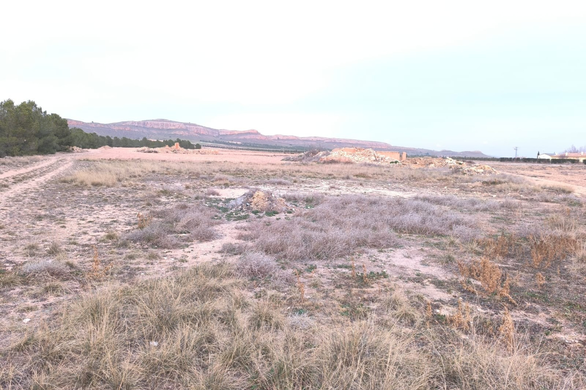 Resale - Plot / Land - Yecla - Inland