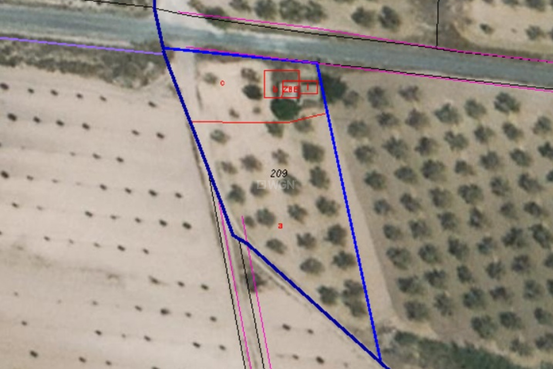 Resale - Plot / Land - Yecla - Inland