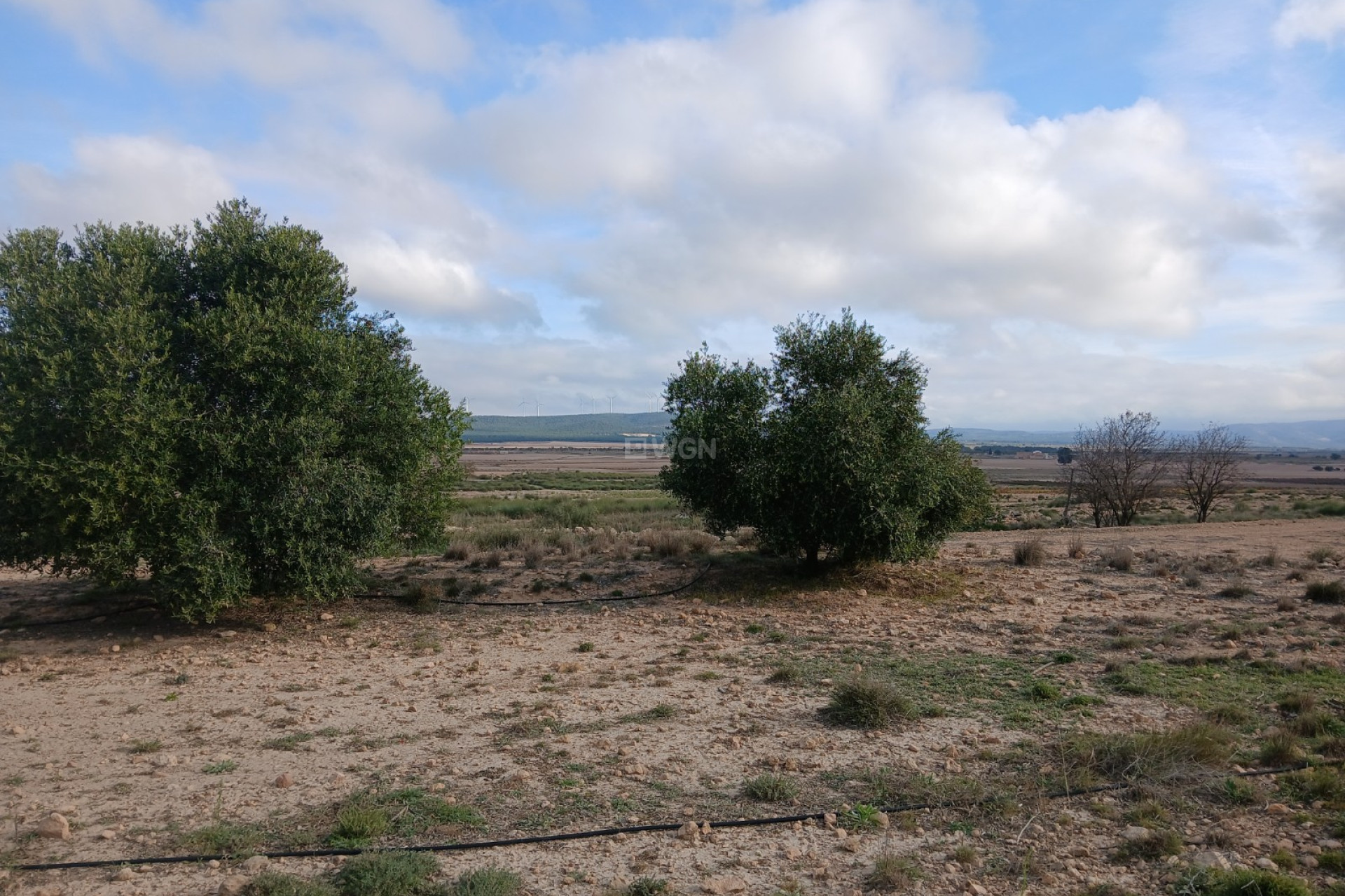 Resale - Plot / Land - Yecla - Inland