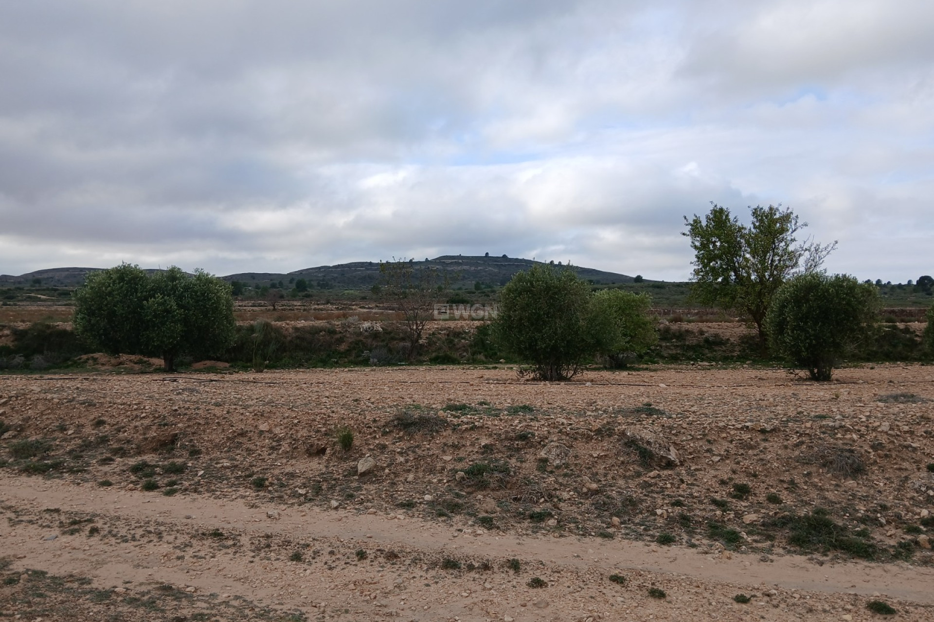 Resale - Plot / Land - Yecla - Inland