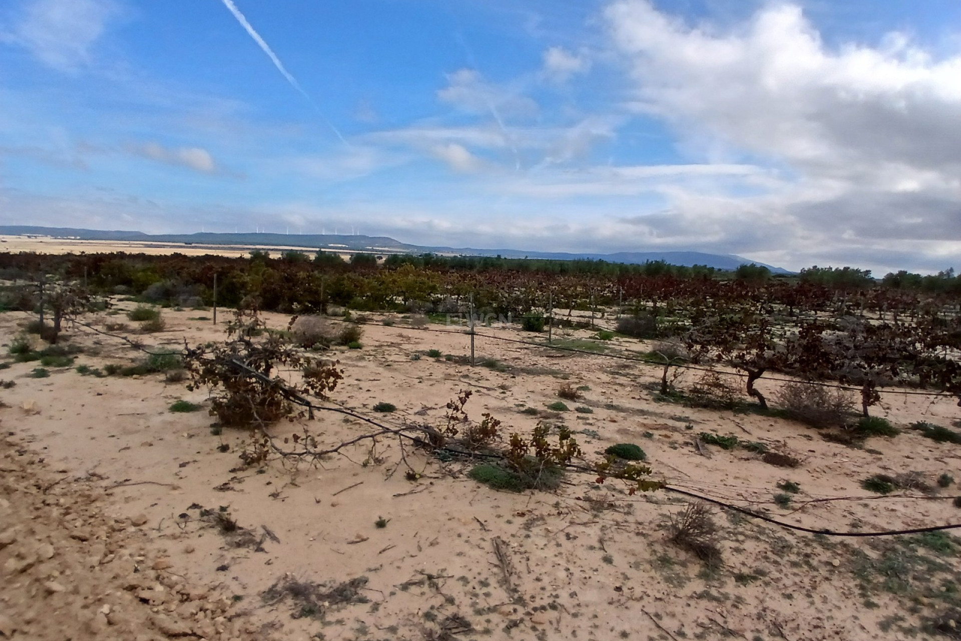 Resale - Plot / Land - Yecla - Inland