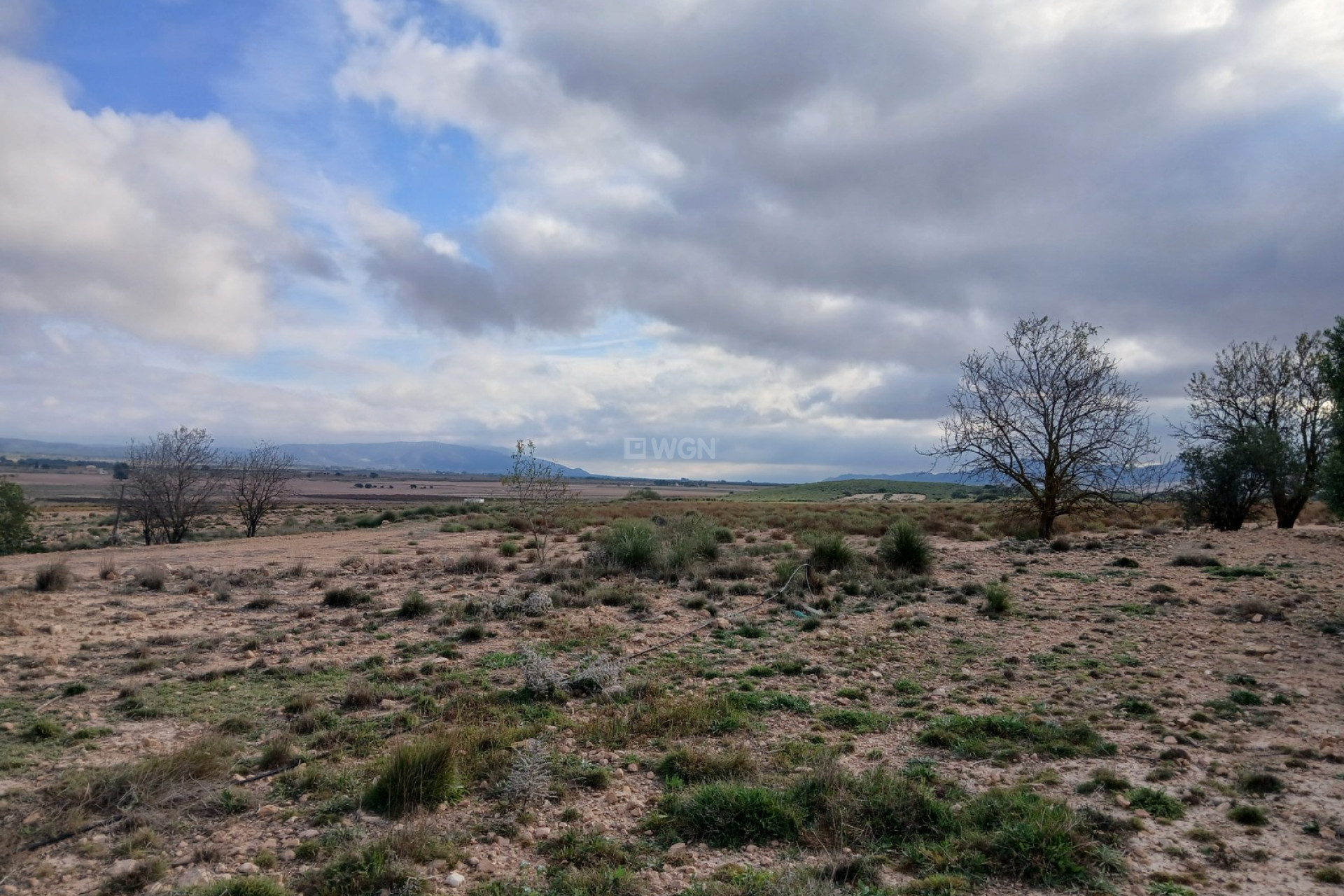 Resale - Plot / Land - Yecla - Inland