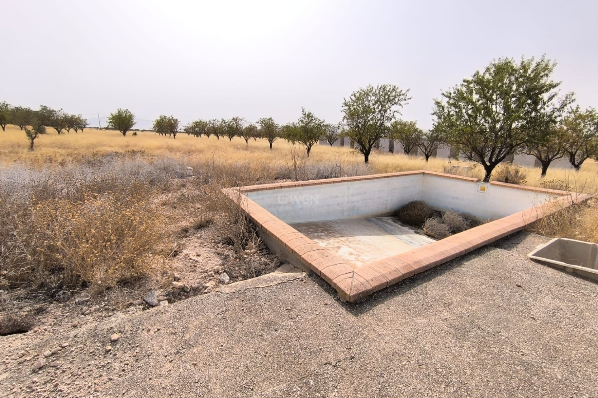 Resale - Plot / Land - Yecla - Inland