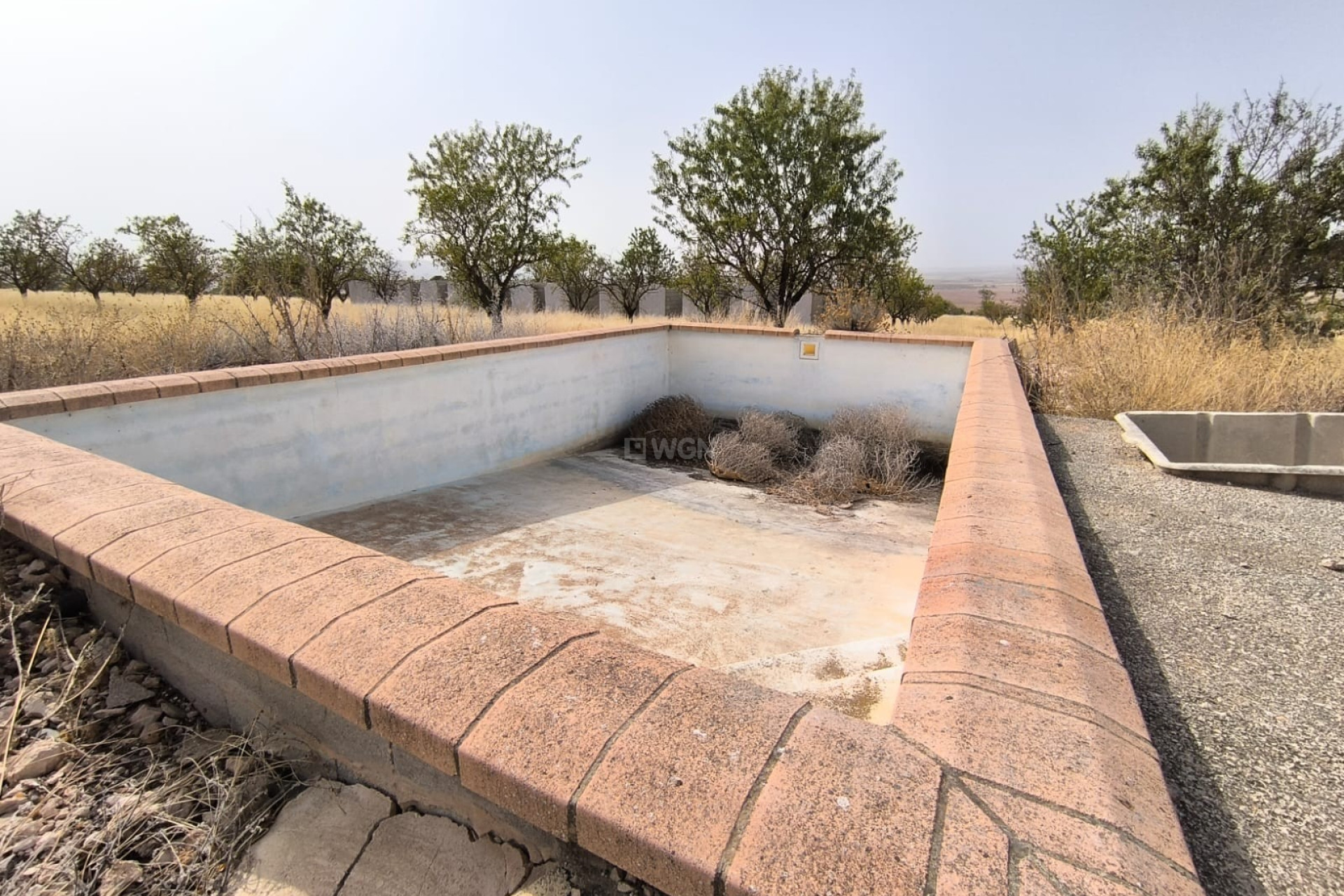 Resale - Plot / Land - Yecla - Inland