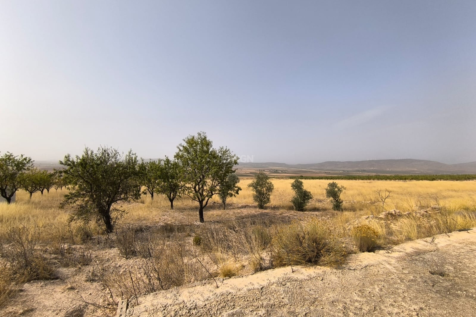 Resale - Plot / Land - Yecla - Inland