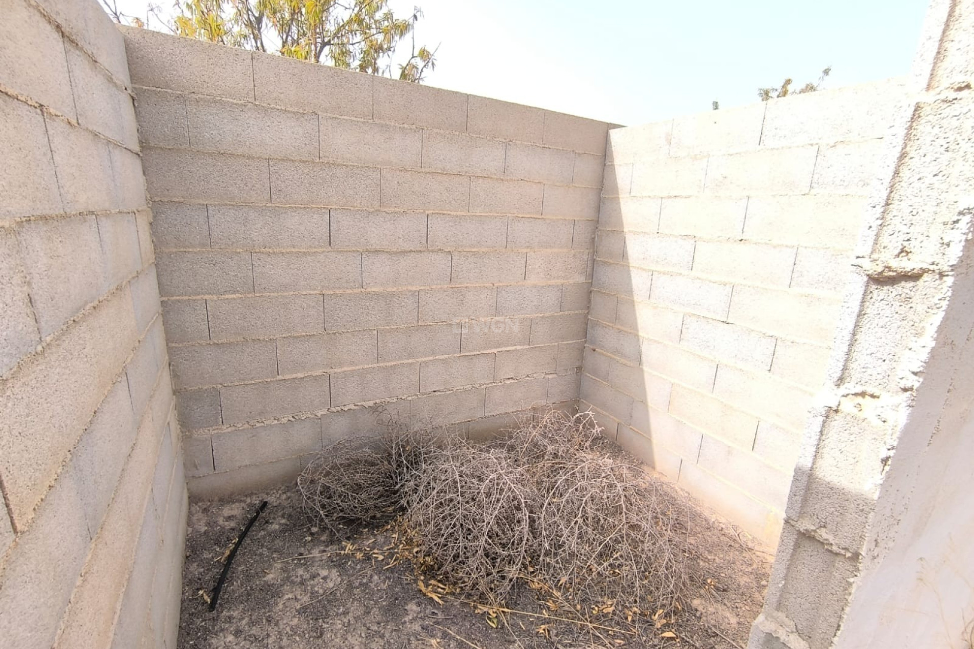 Resale - Plot / Land - Yecla - Inland