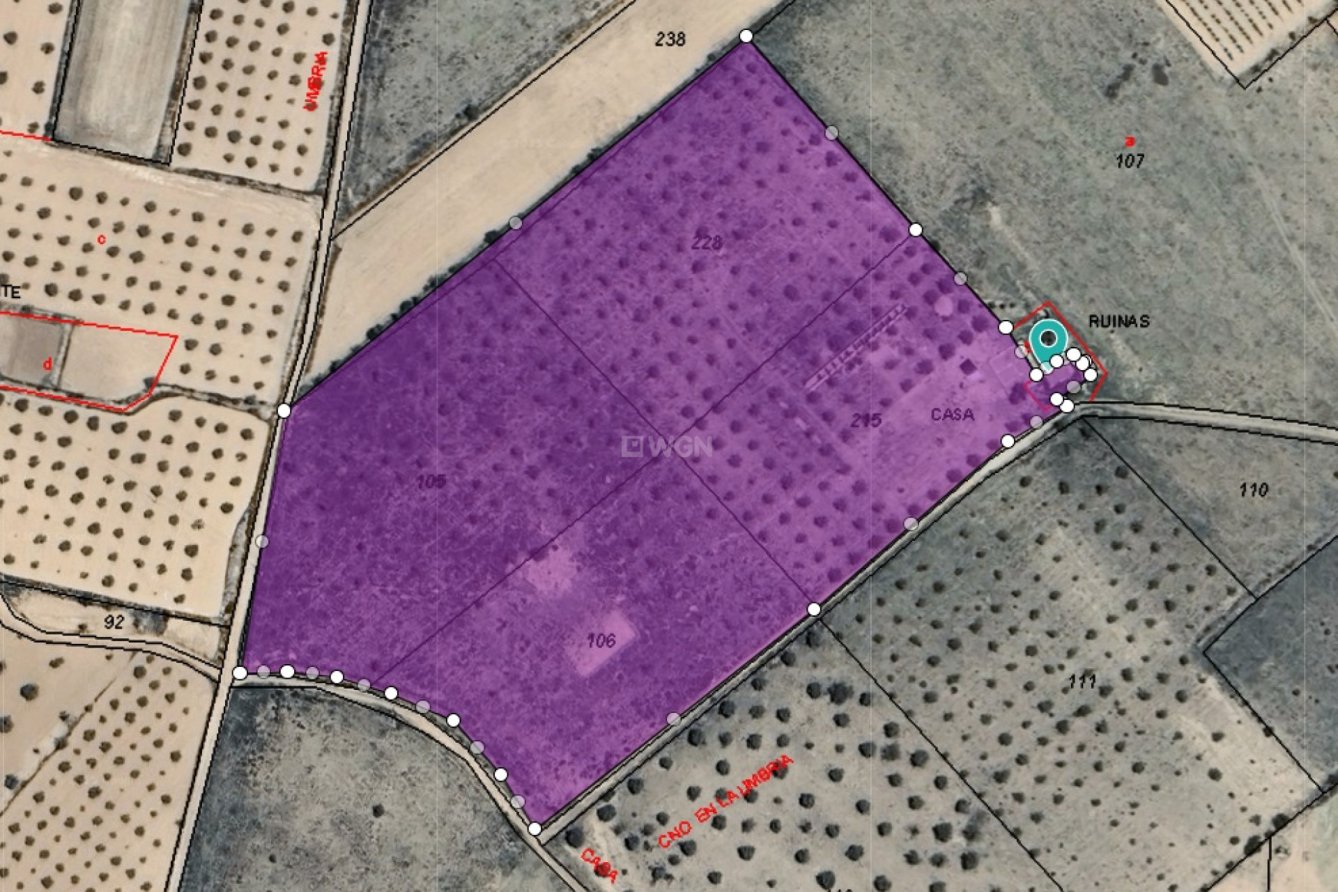 Resale - Plot / Land - Yecla - Inland