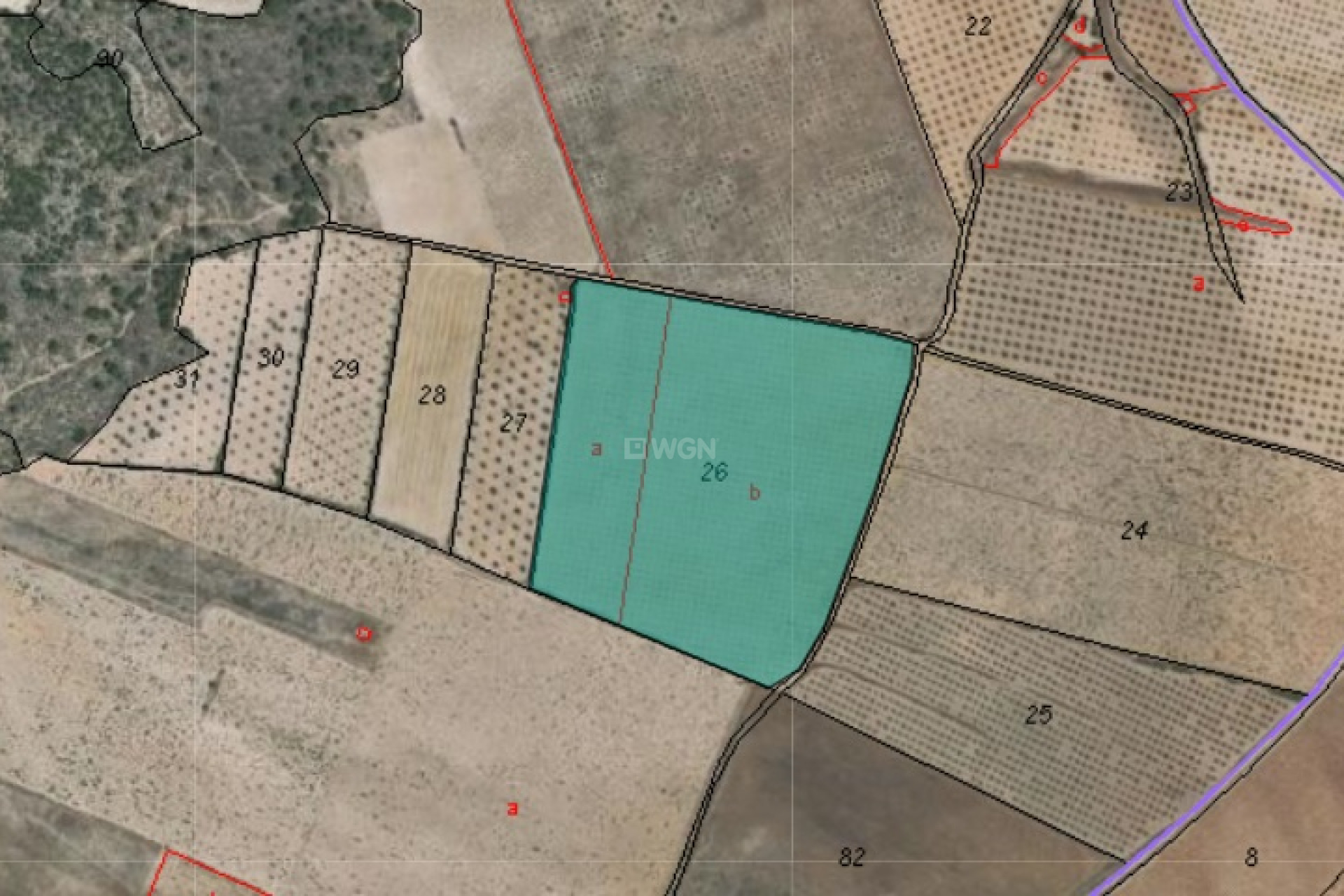 Resale - Plot / Land - Yecla - Inland