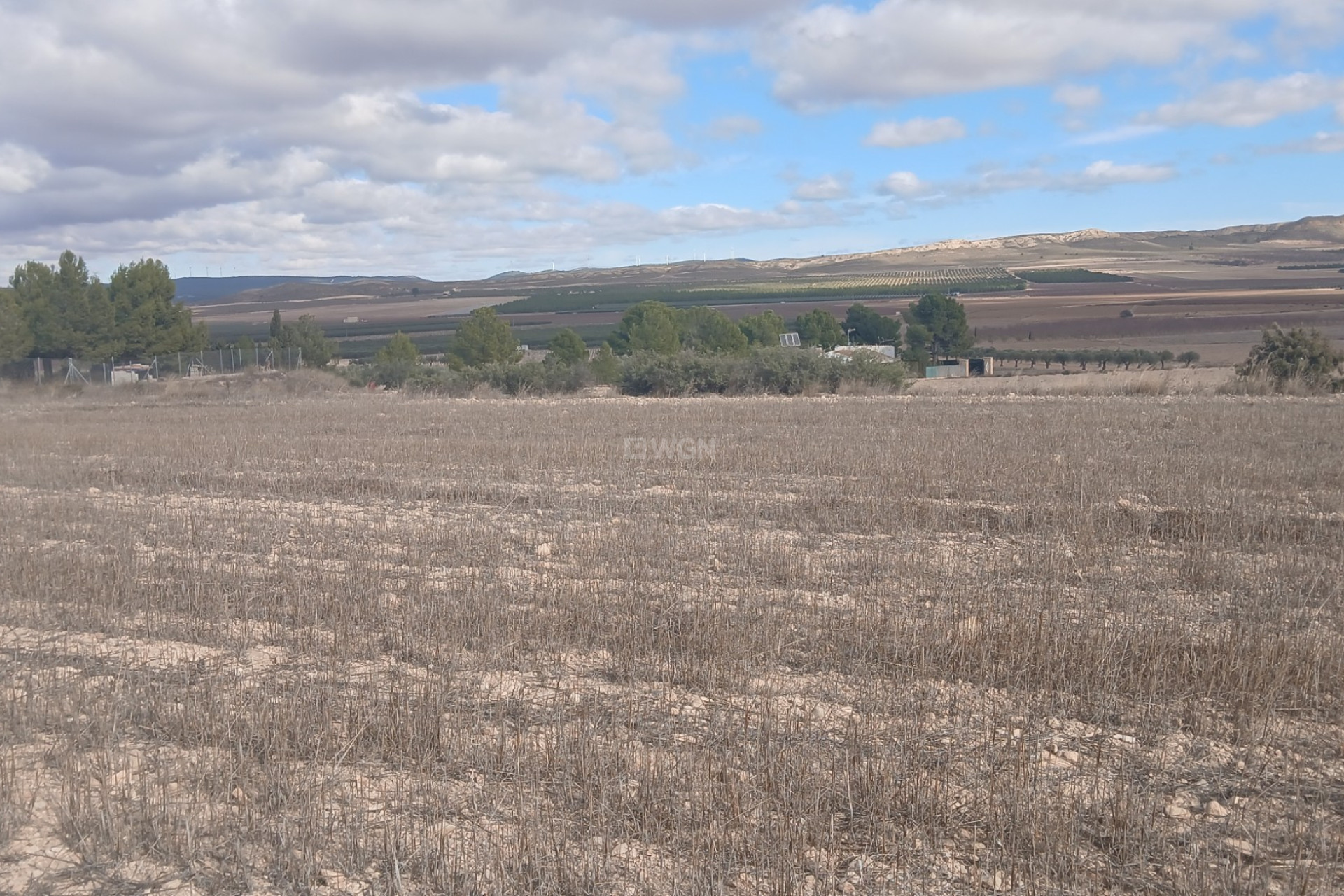 Resale - Plot / Land - Yecla - Inland