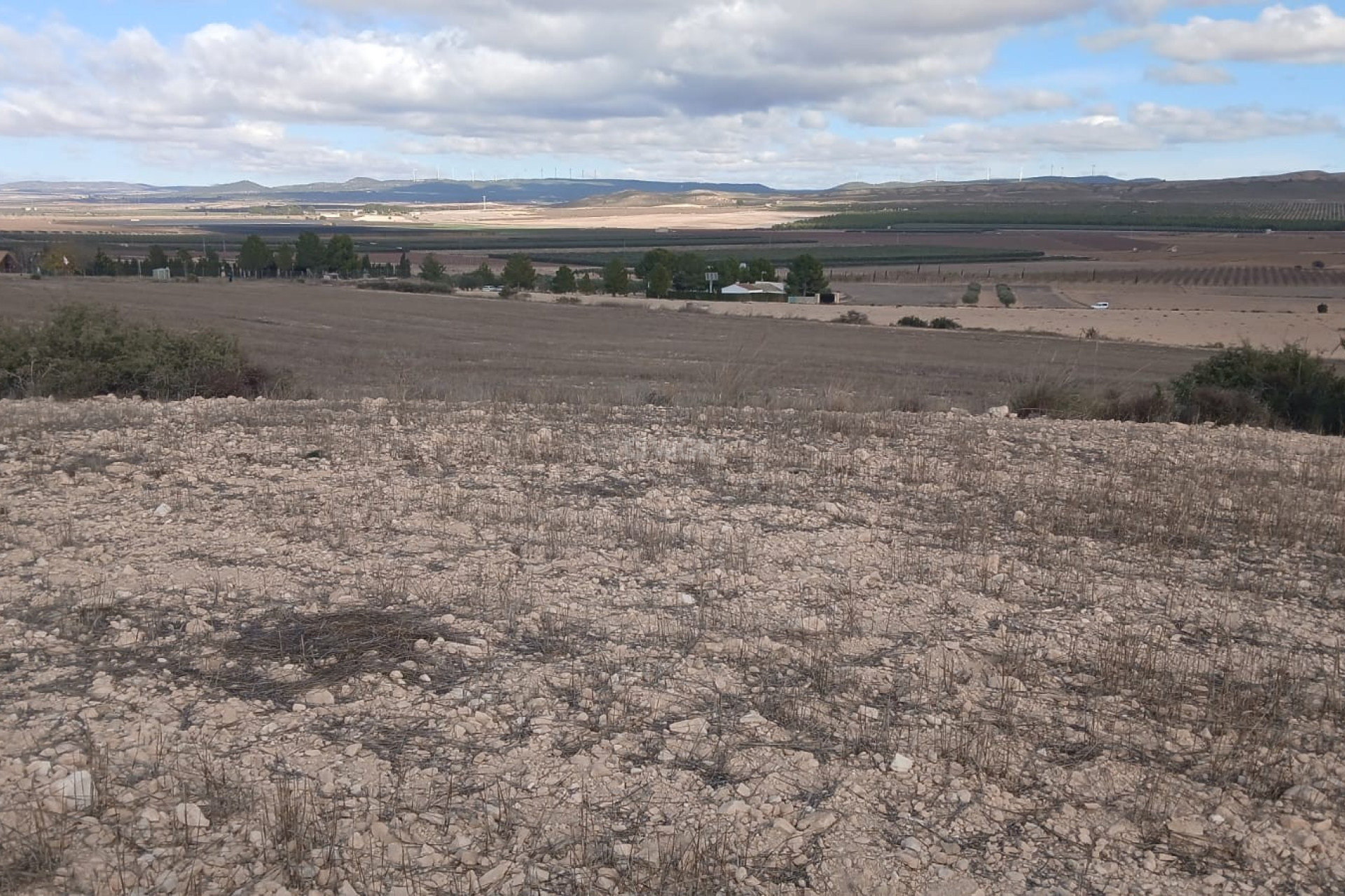 Resale - Plot / Land - Yecla - Inland