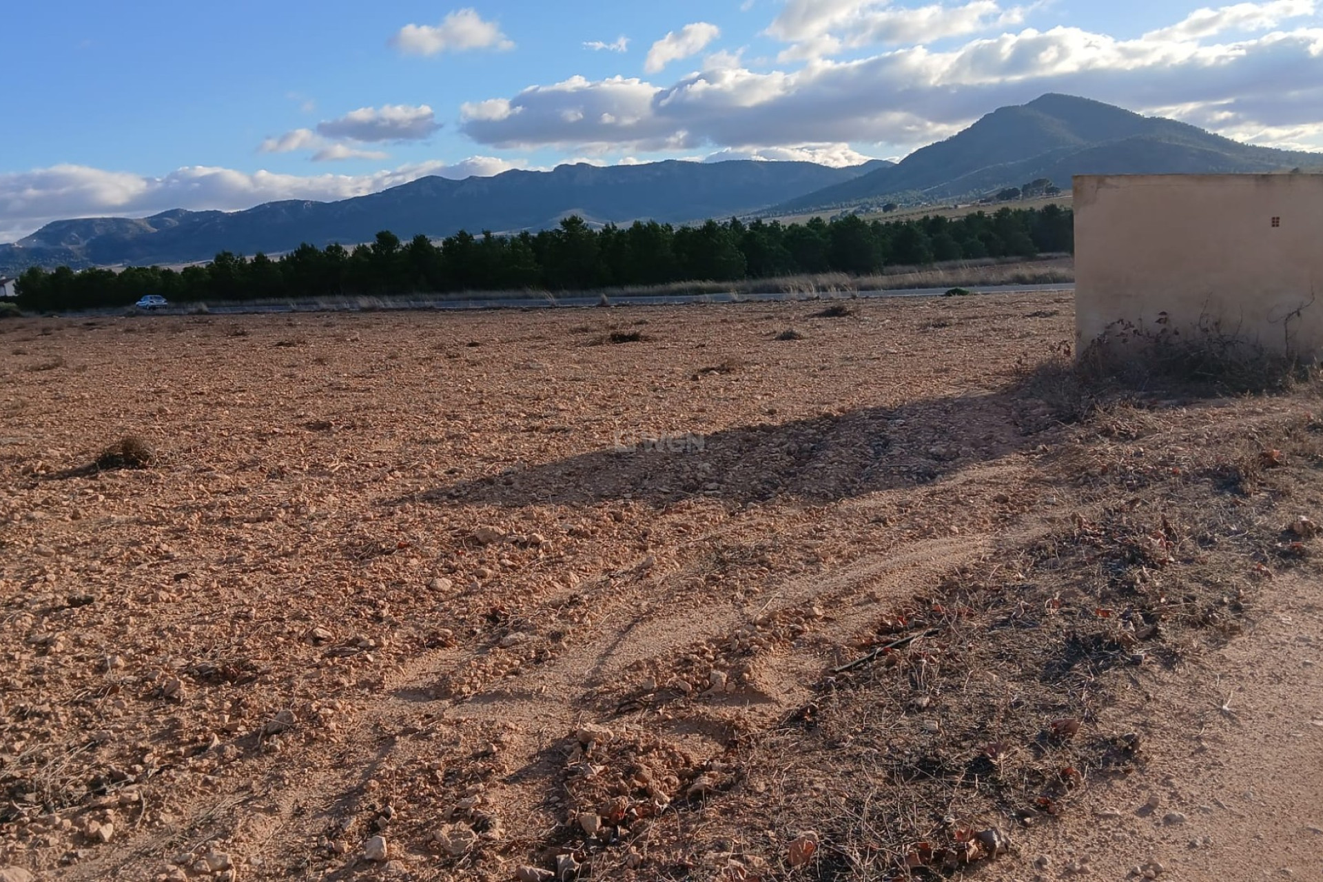 Resale - Plot / Land - Yecla - Inland