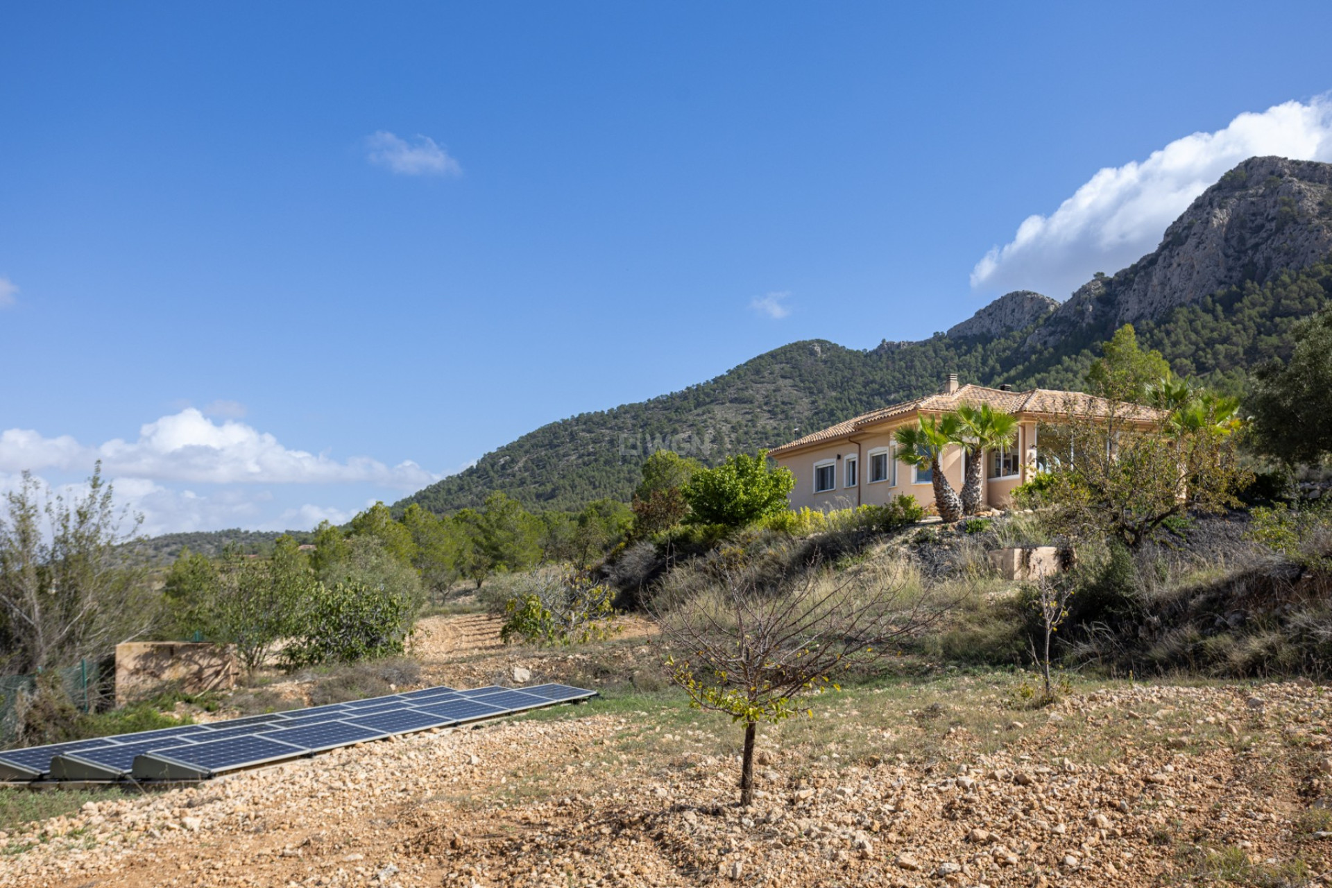 Resale - Property - La Zarza - Inland