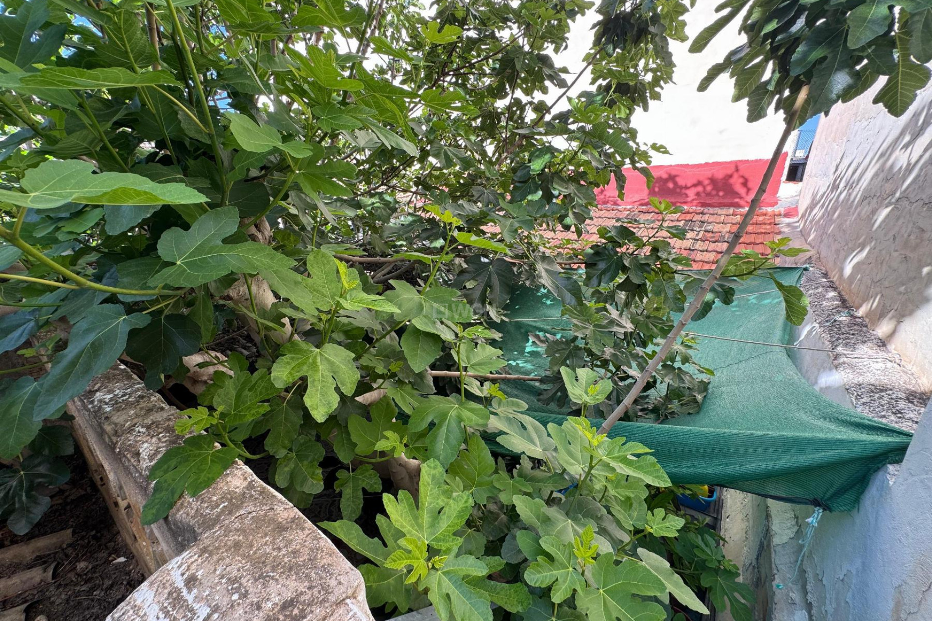 Resale - Townhouse - Benejúzar - Inland