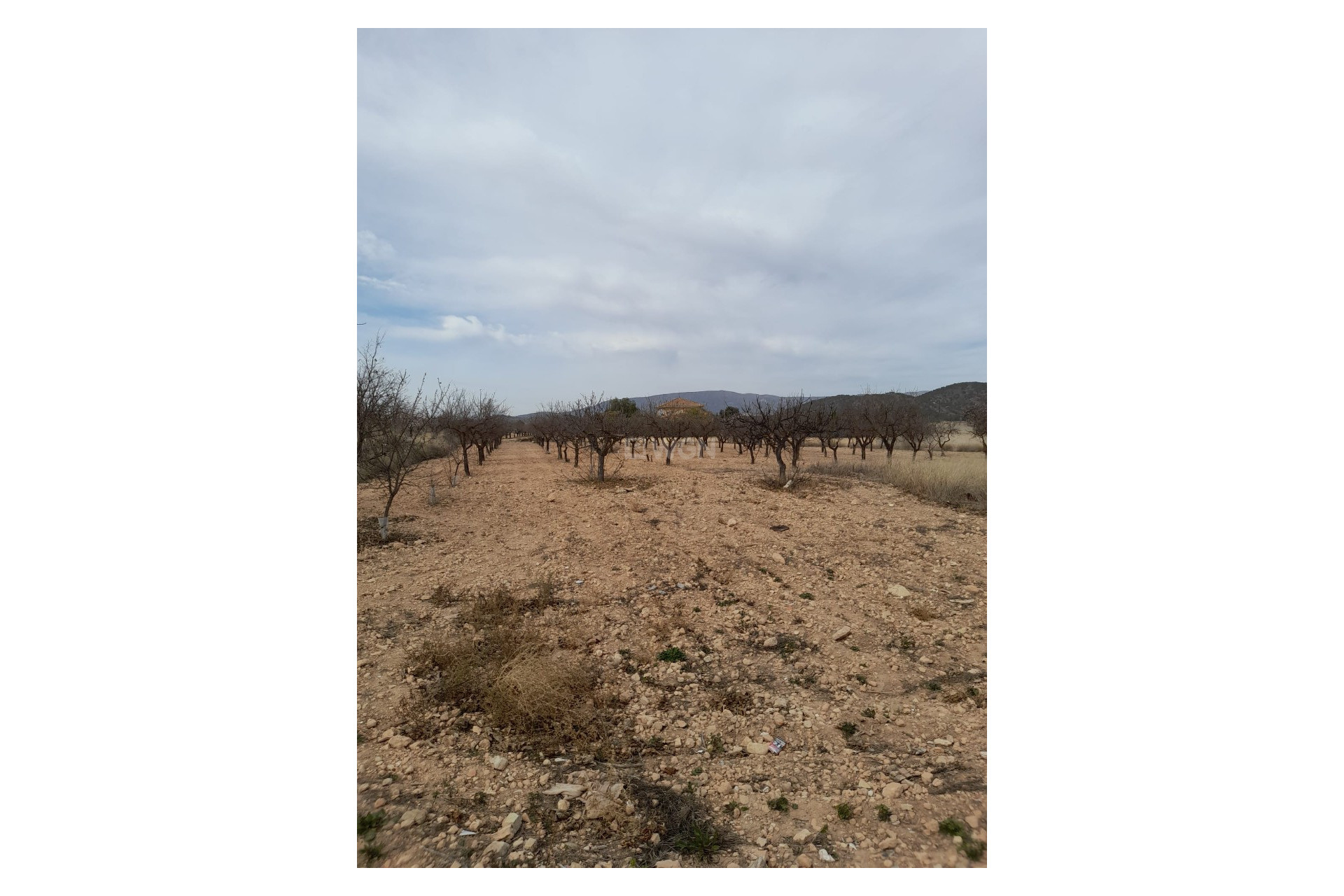 Resale - Townhouse - Casas Del Señor - Inland