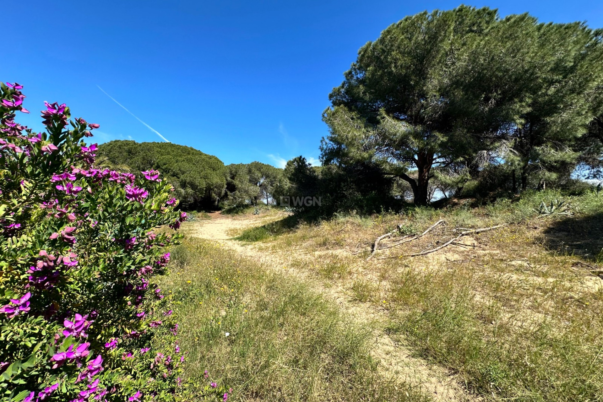 Resale - Townhouse - Guardamar del Segura - Costa Blanca